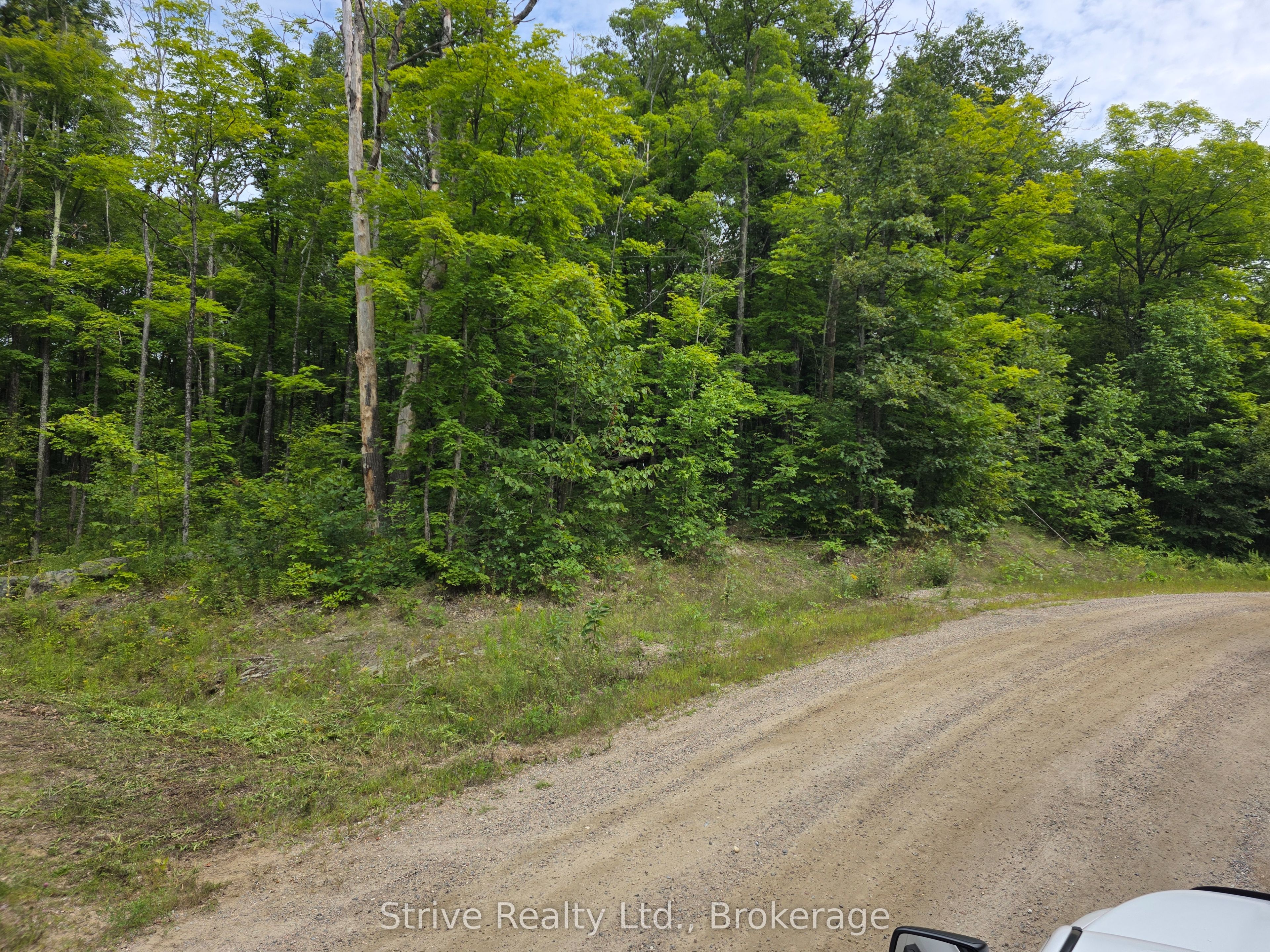 1303 Whites Road Property Photo 2