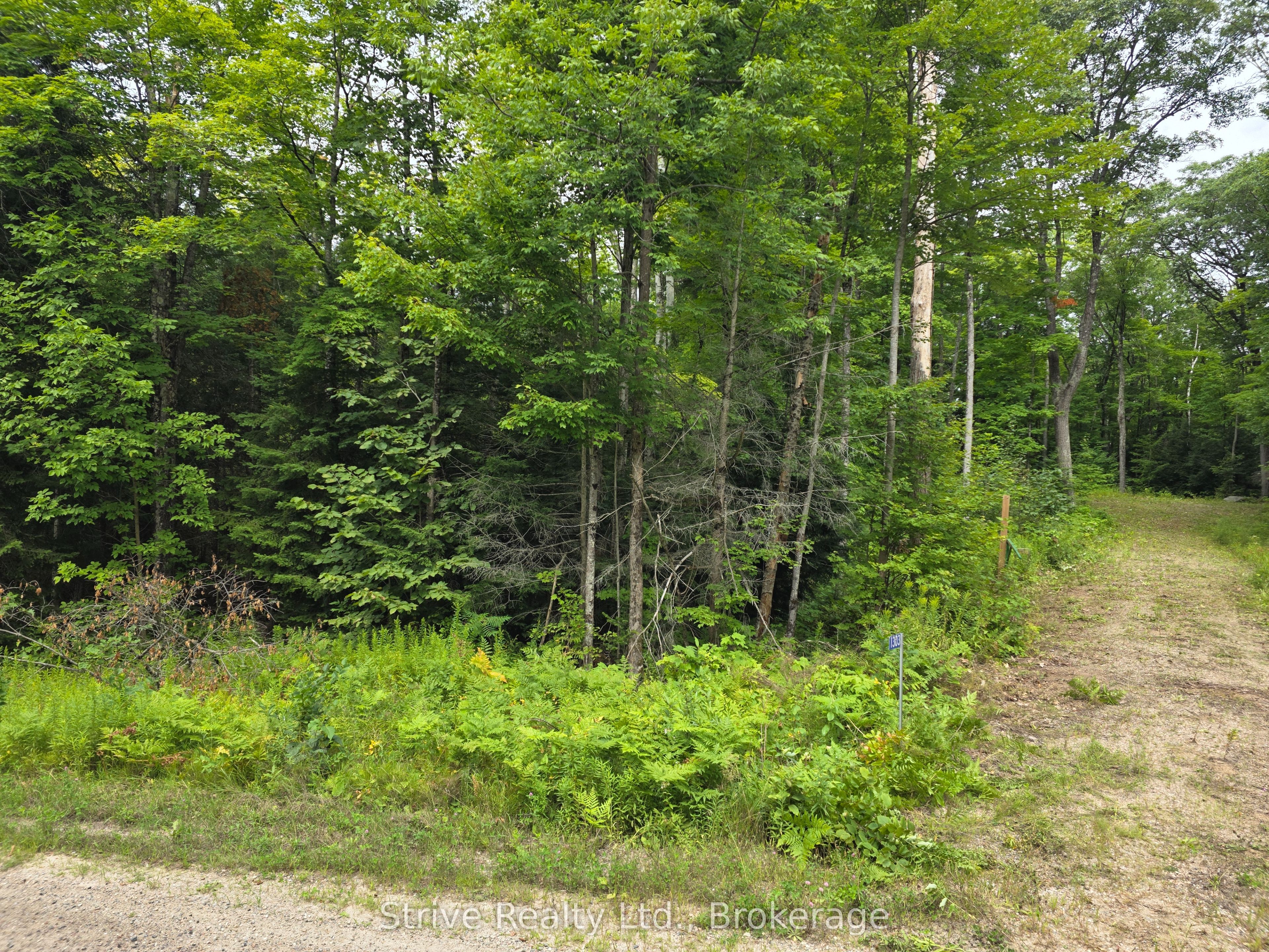 1303 Whites Road Property Photo 3