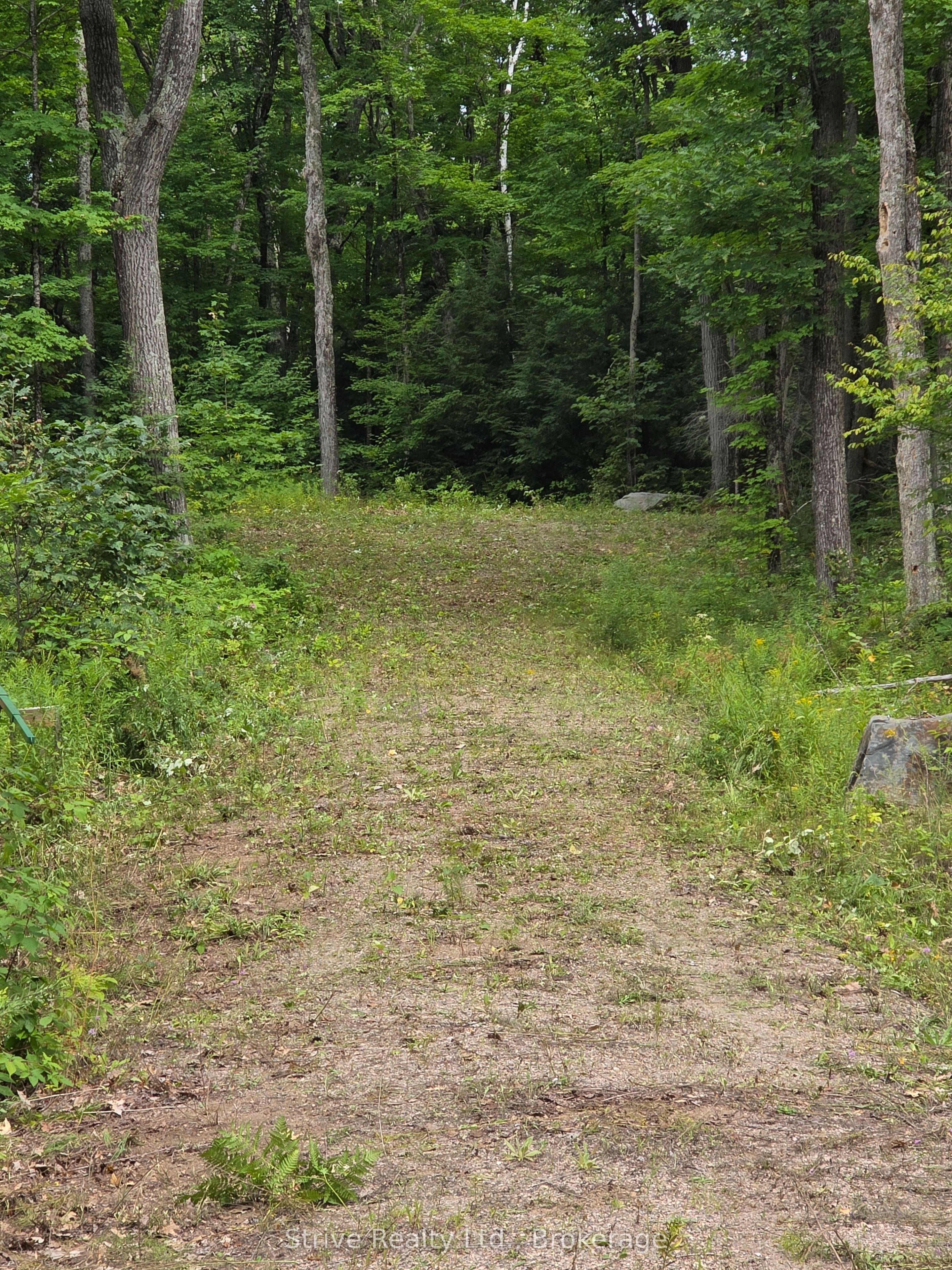 1303 Whites Road Property Photo 4