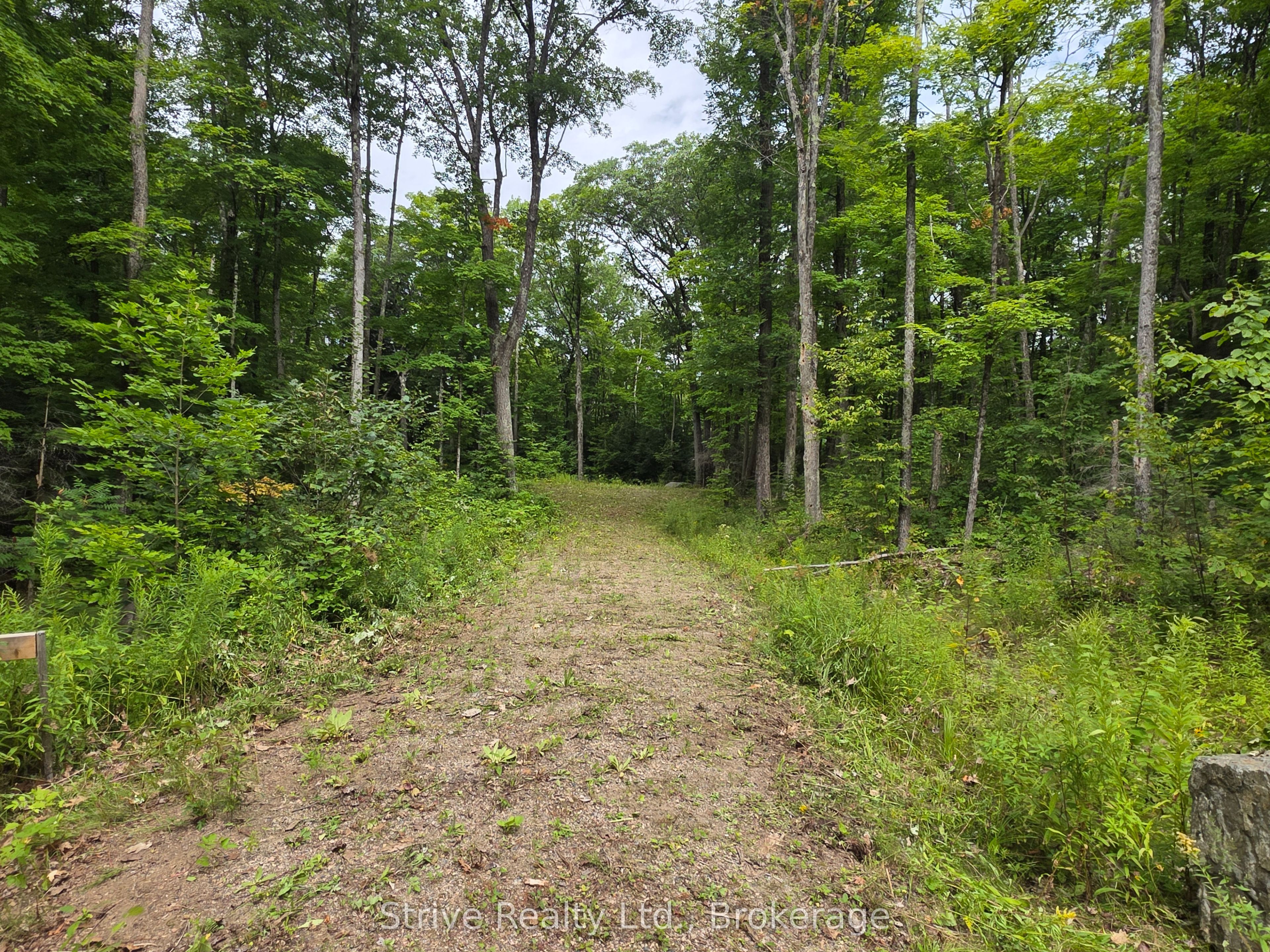 1303 Whites Road Property Photo 5