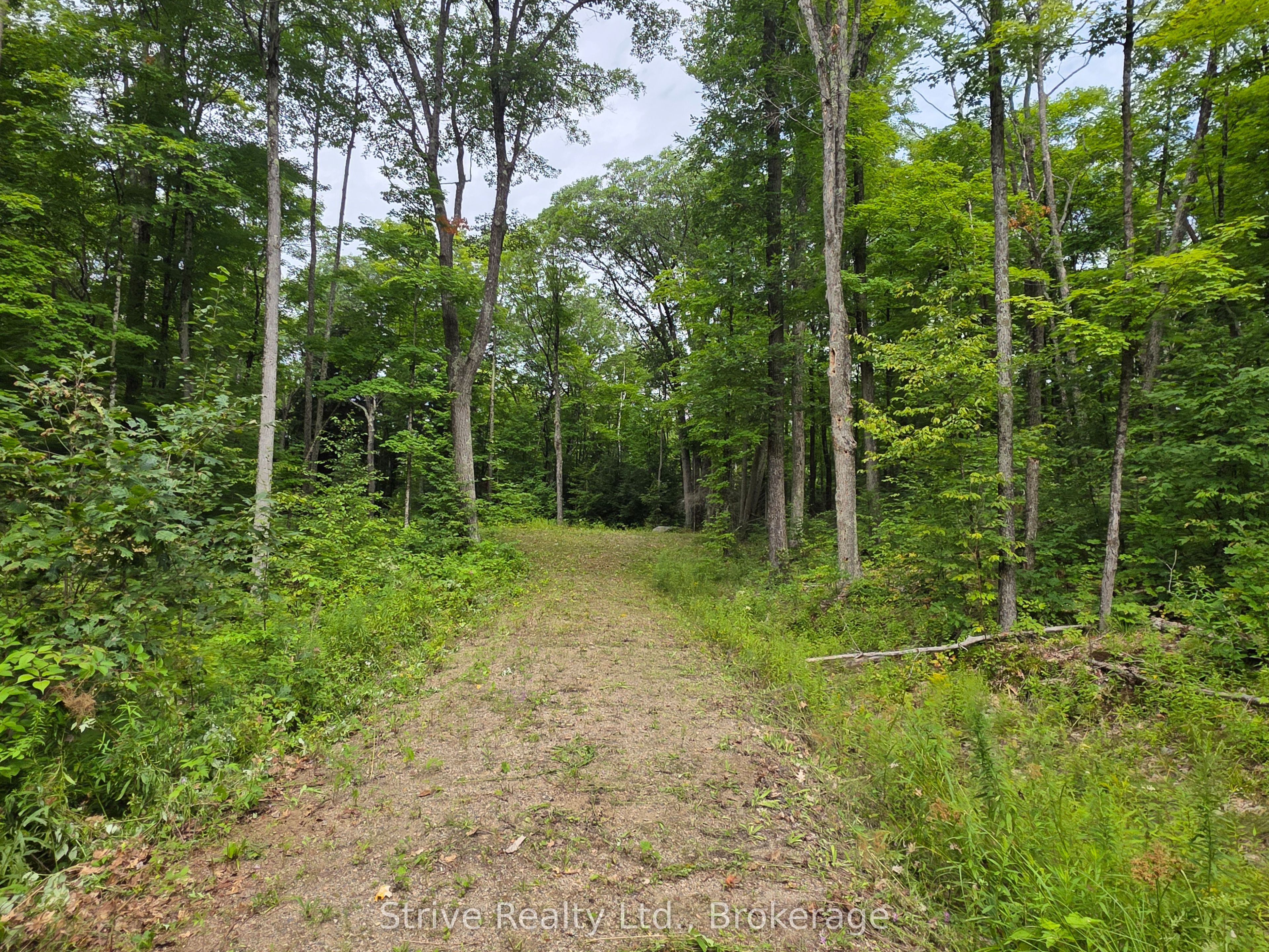 1303 Whites Road Property Photo 6
