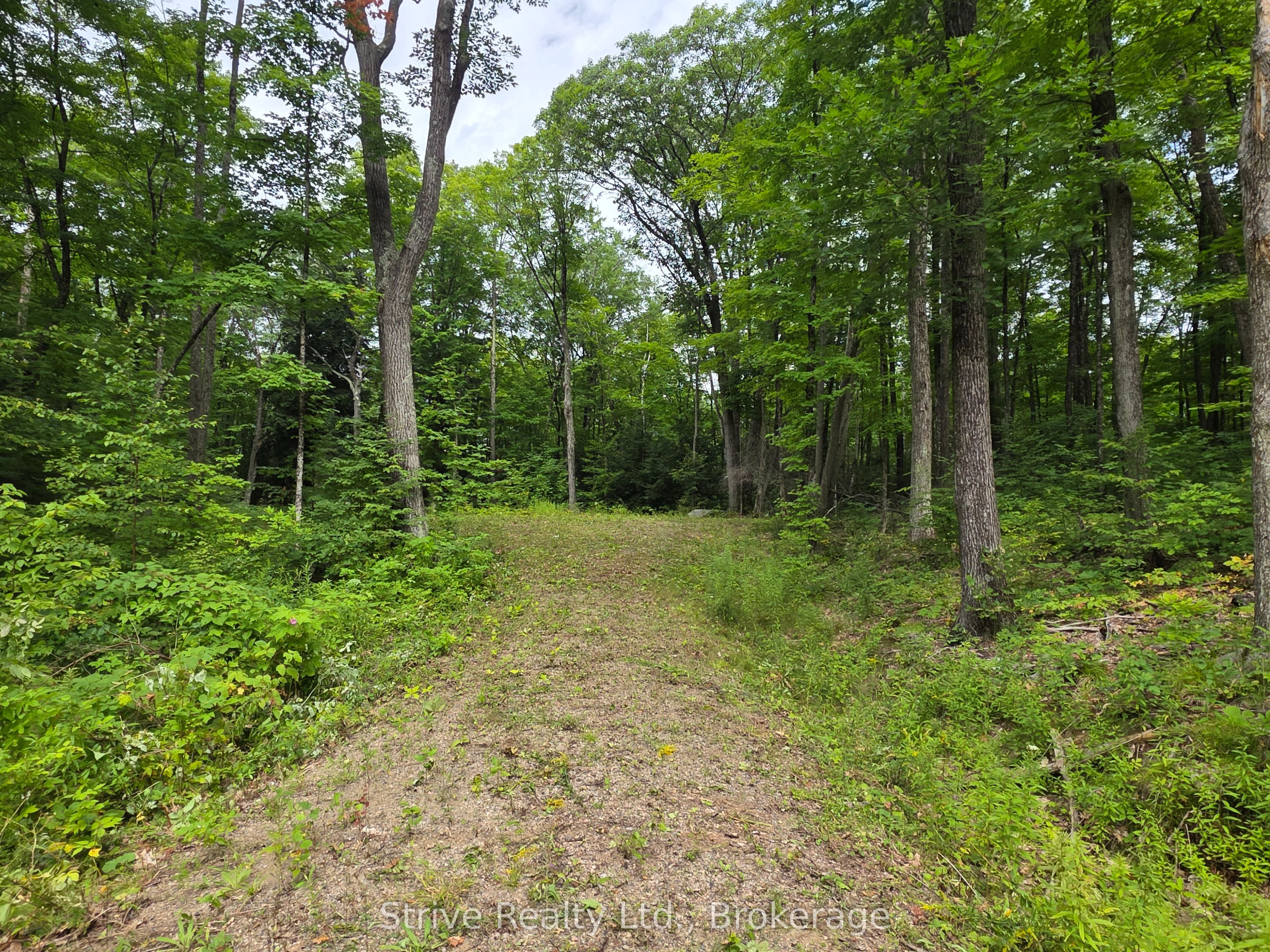 1303 Whites Road Property Photo 7