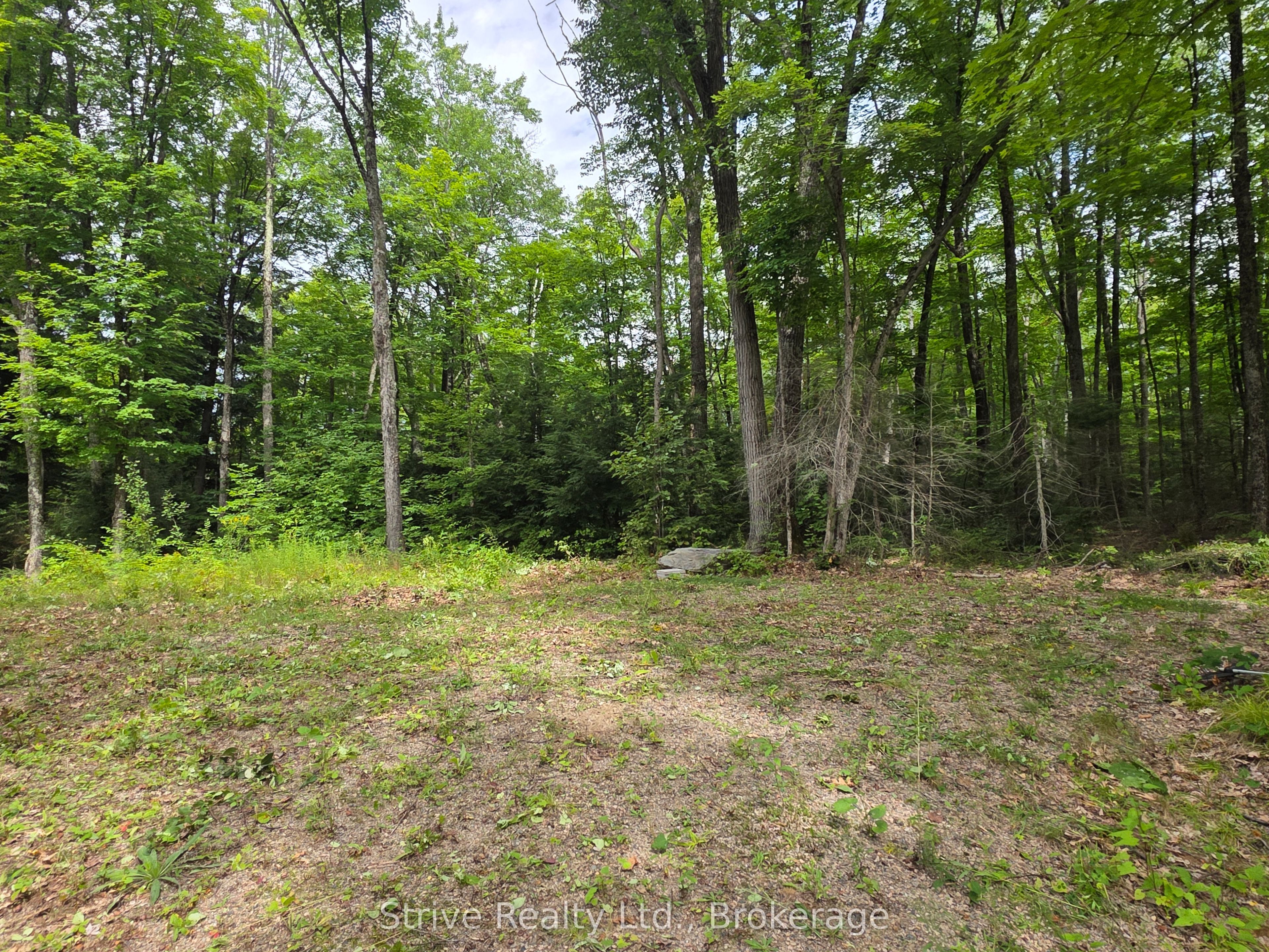 1303 Whites Road Property Photo 10