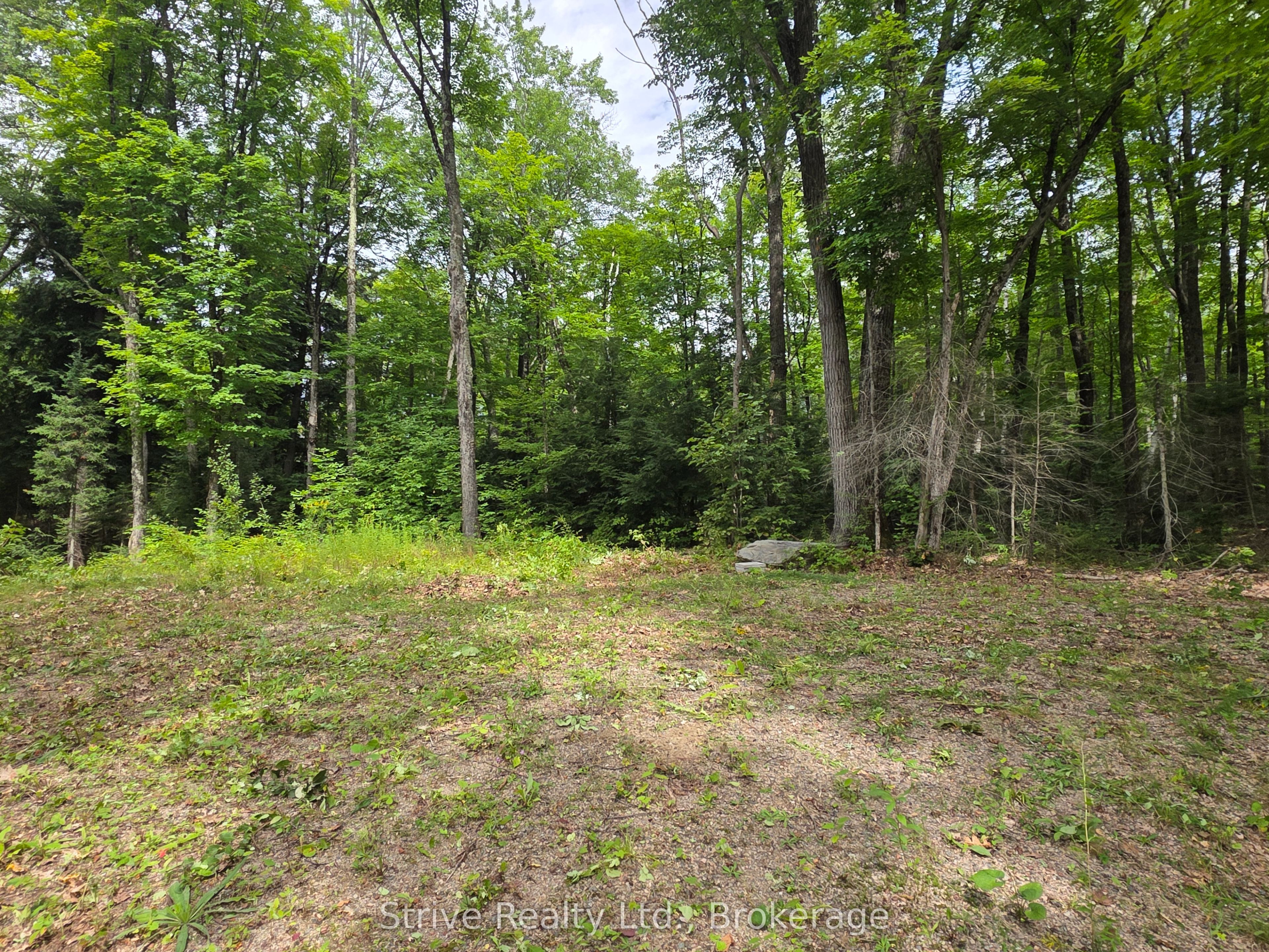 1303 Whites Road Property Photo 11