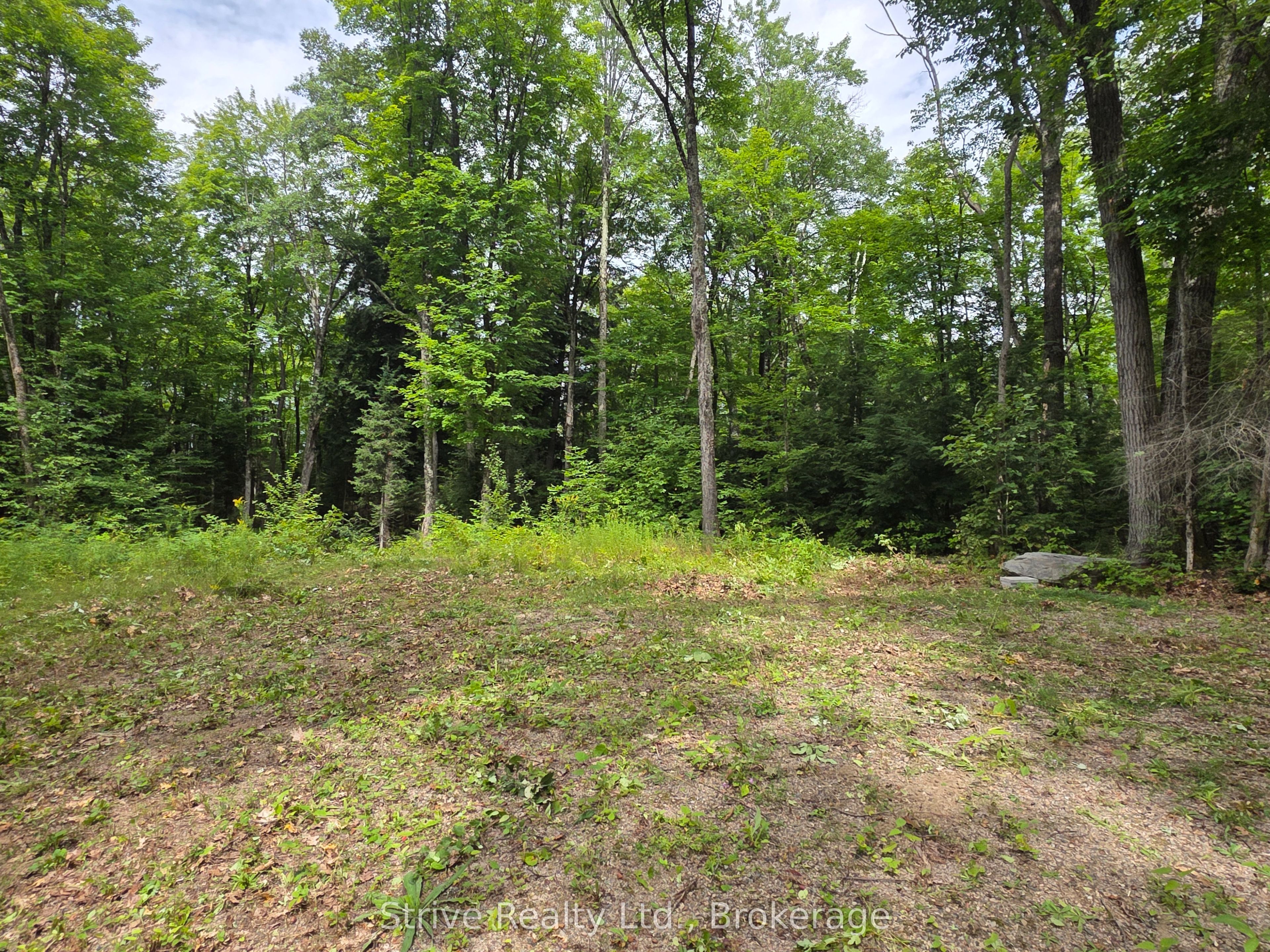 1303 Whites Road Property Photo 12