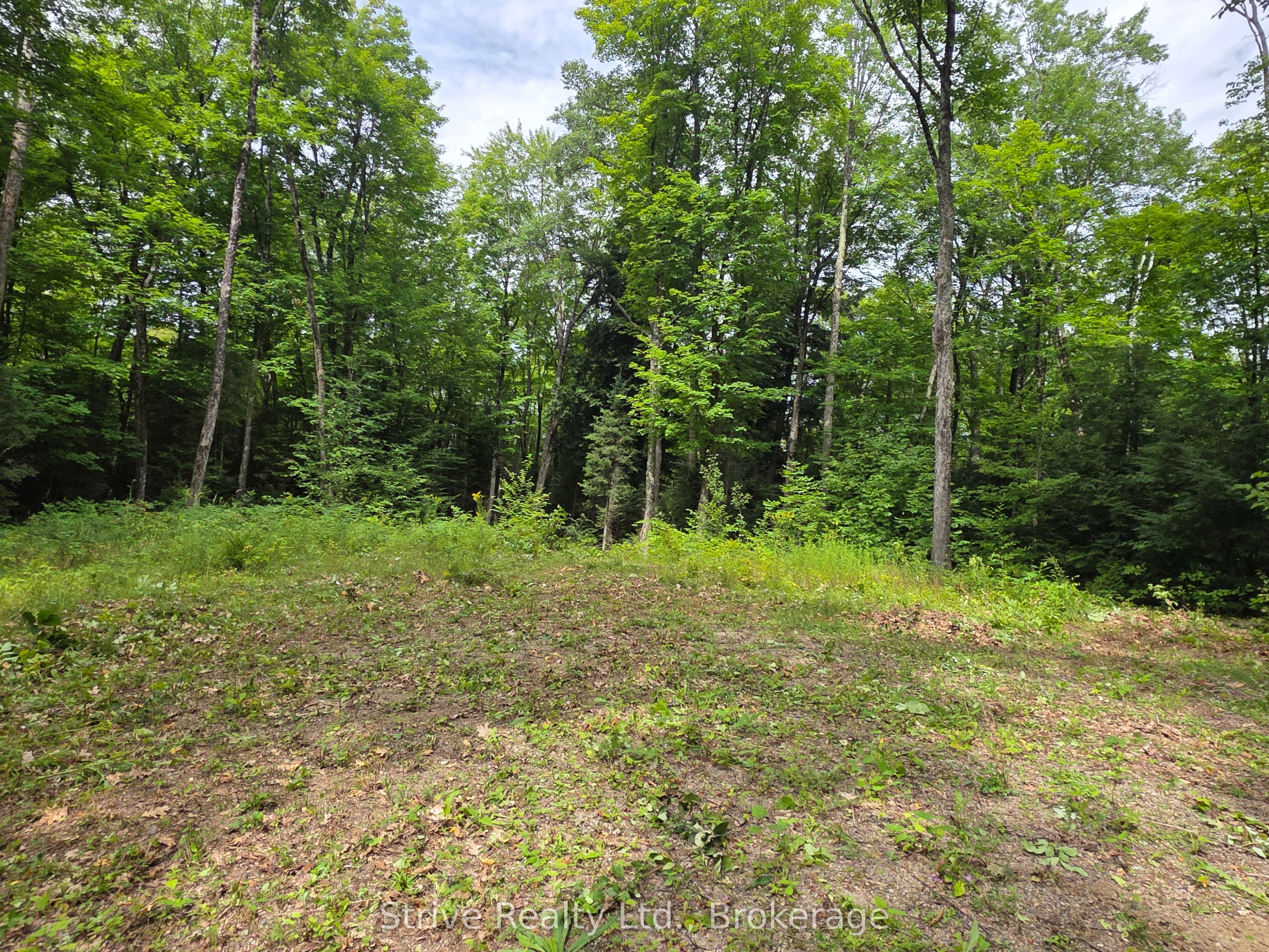 1303 Whites Road Property Photo 13