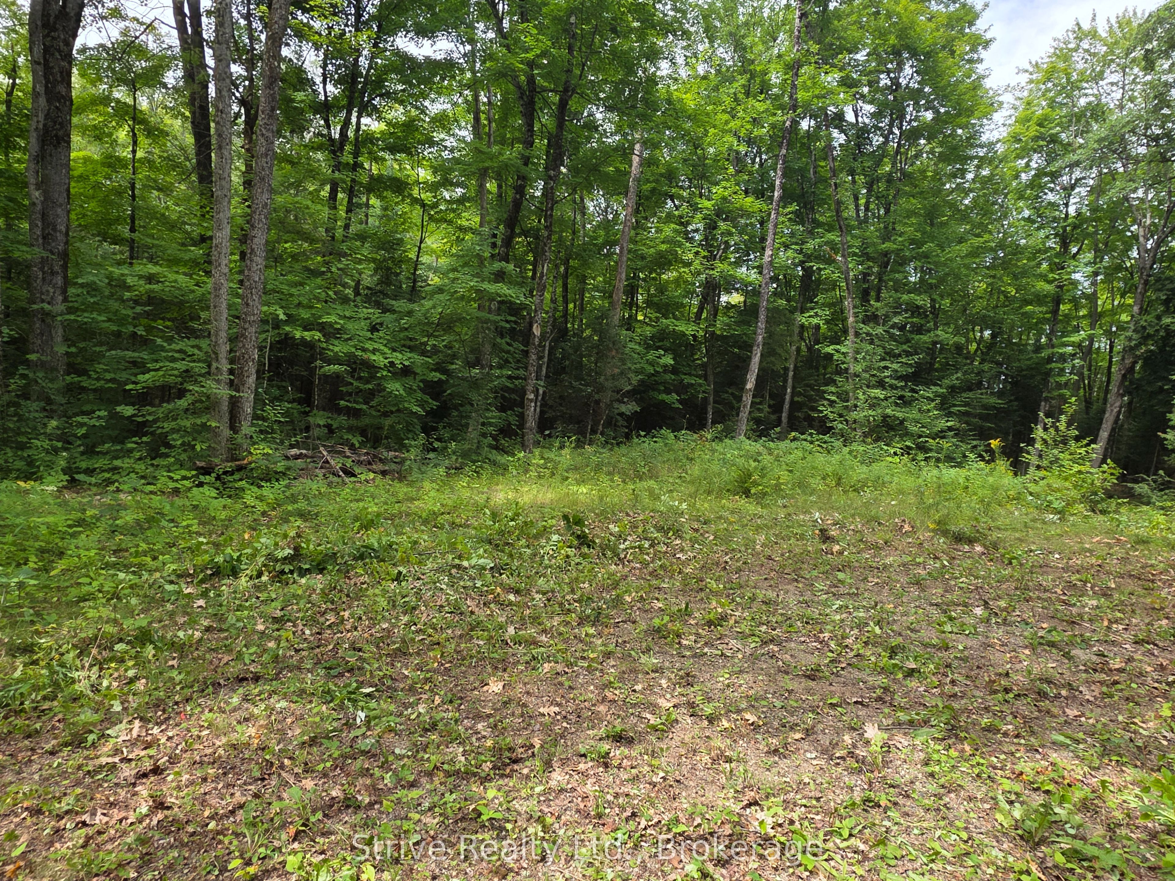 1303 Whites Road Property Photo 14