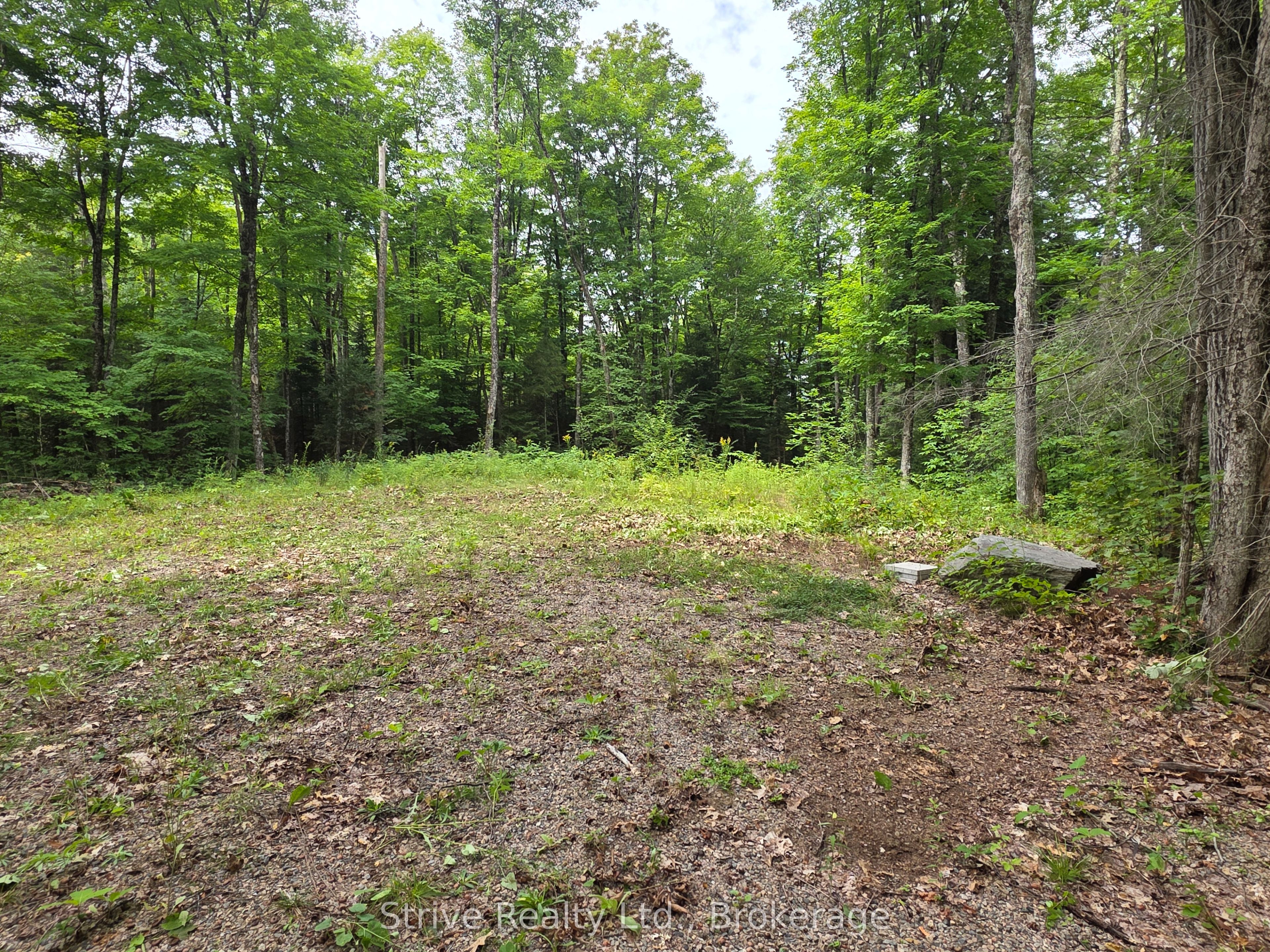 1303 Whites Road Property Photo 15