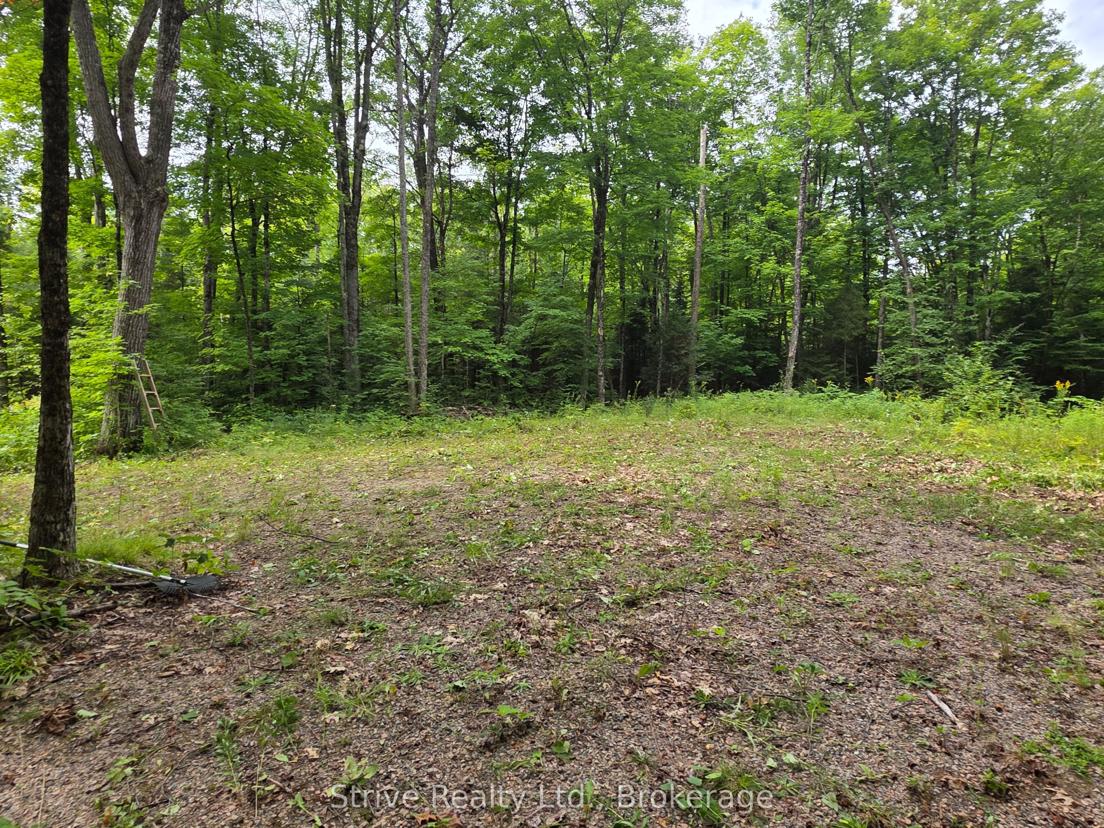 1303 Whites Road Property Photo 16