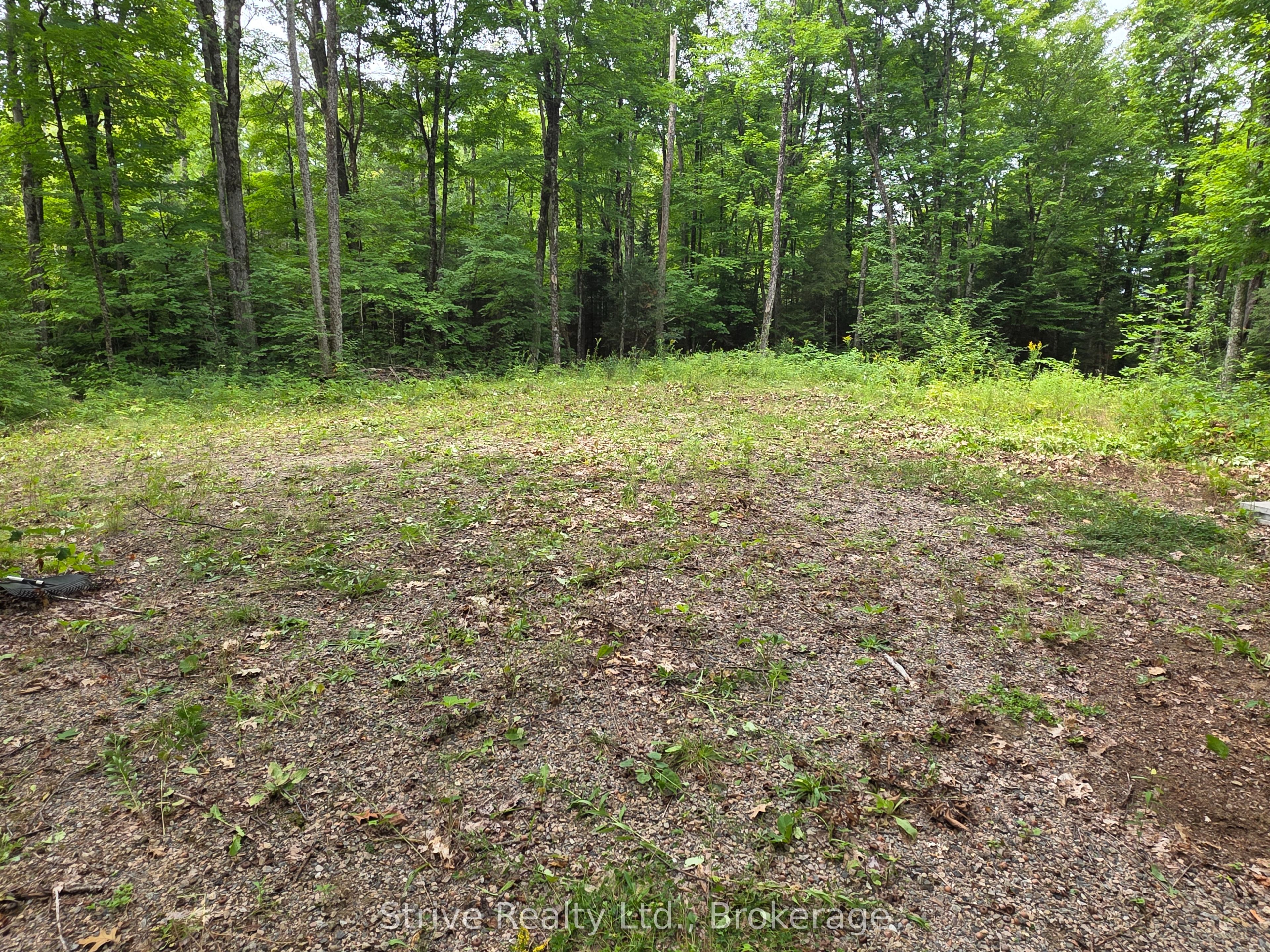 1303 Whites Road Property Photo 17