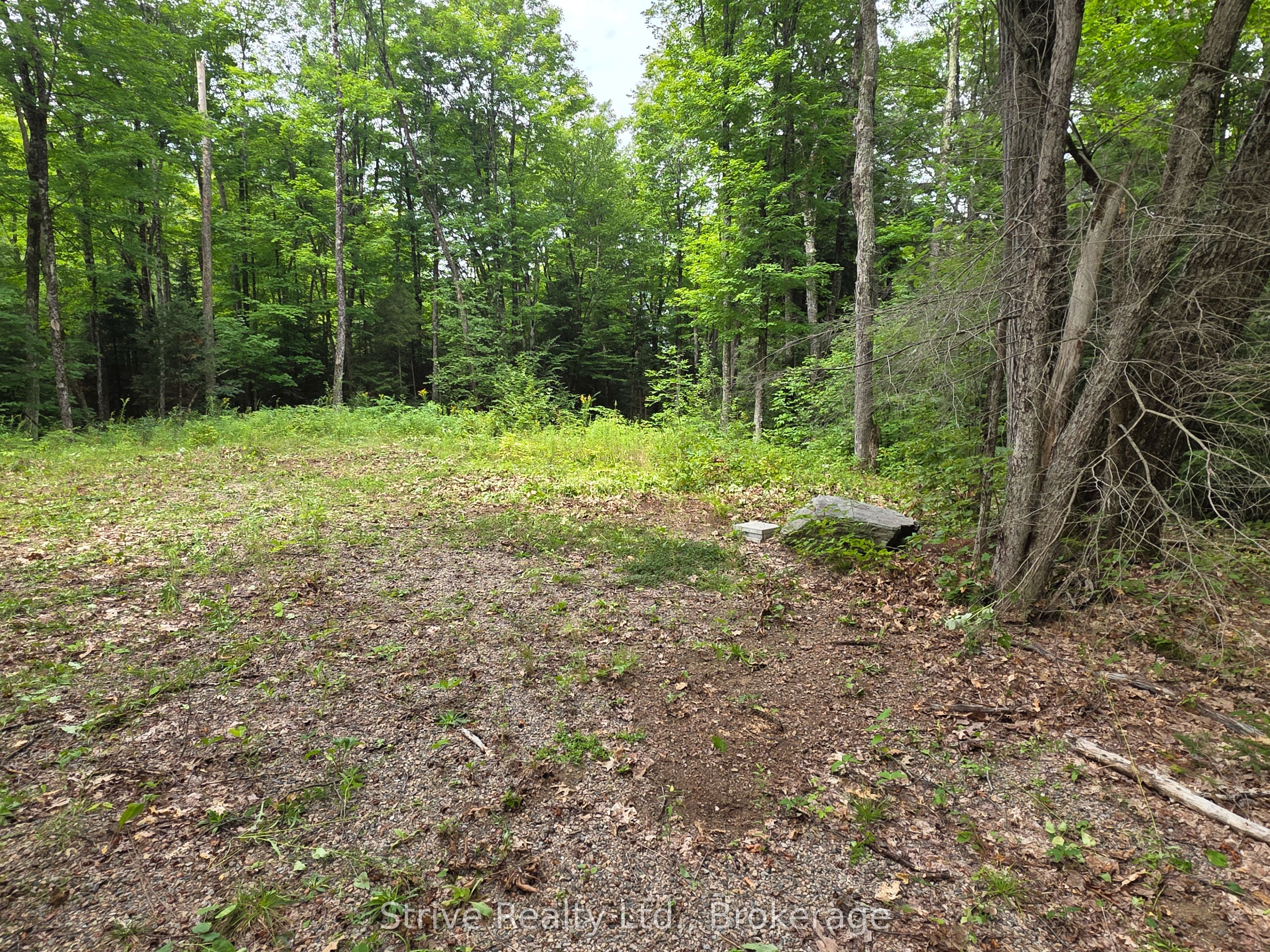 1303 Whites Road Property Photo 18