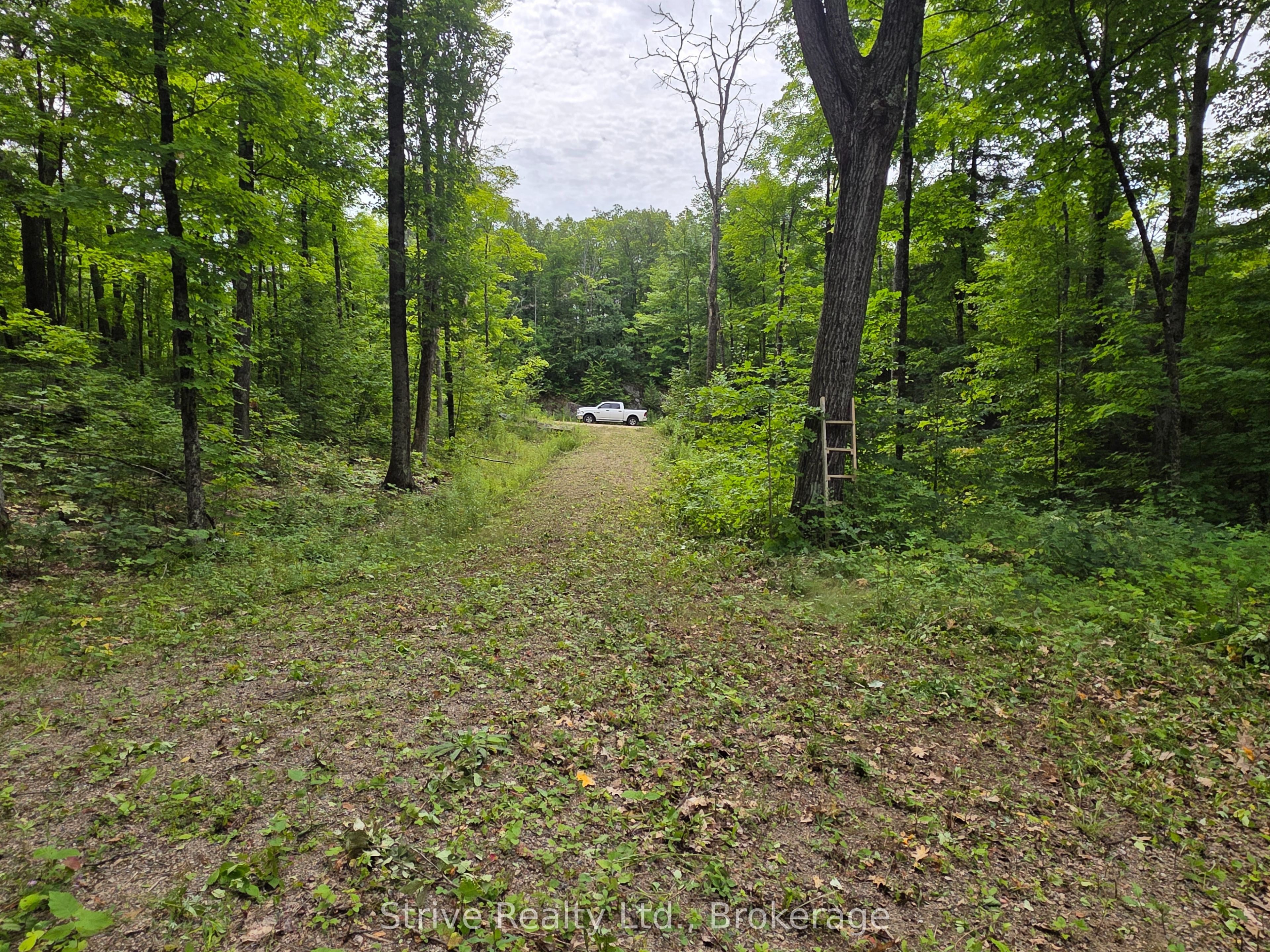 1303 Whites Road Property Photo 19