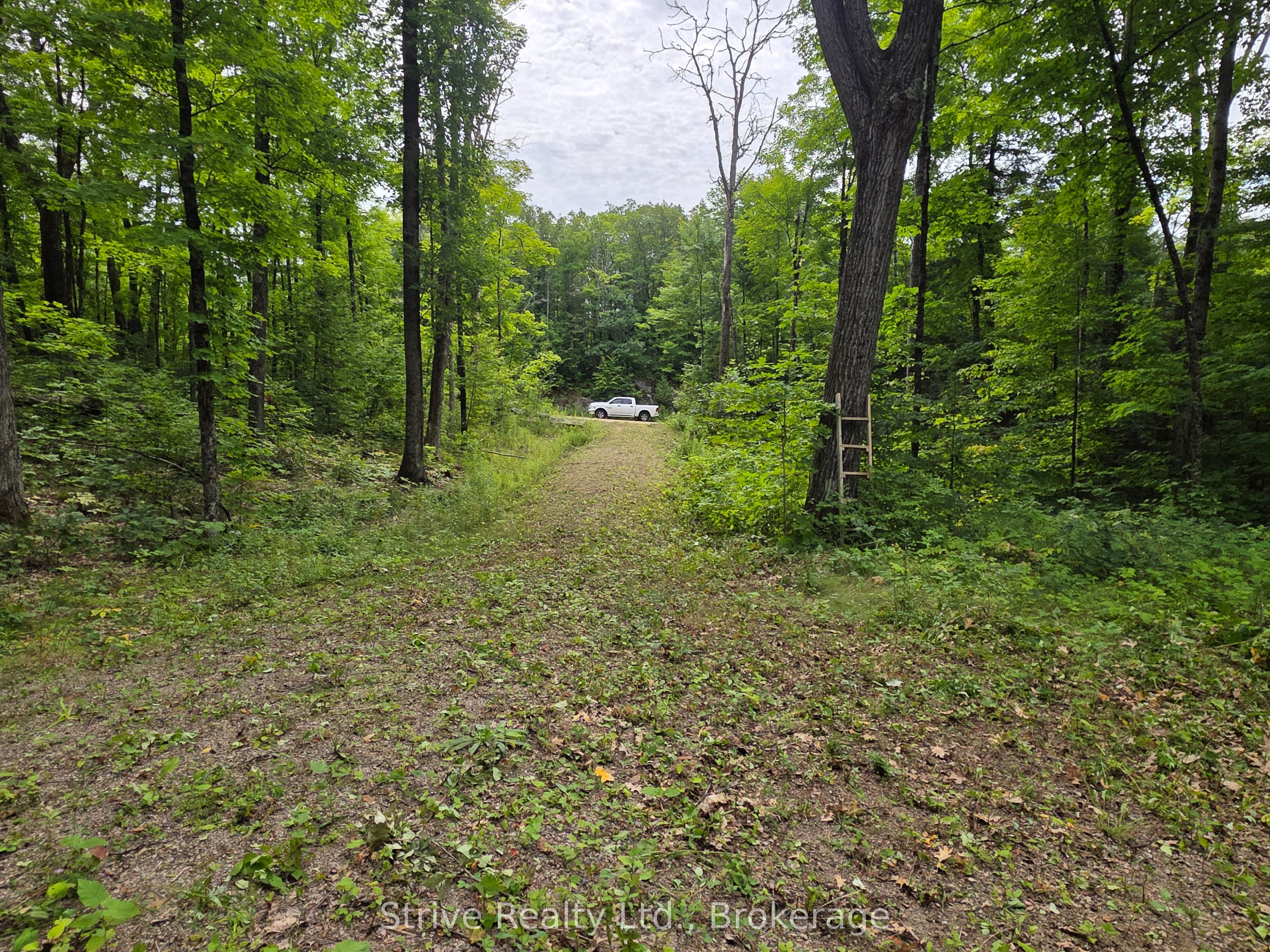 1303 Whites Road Property Photo 20