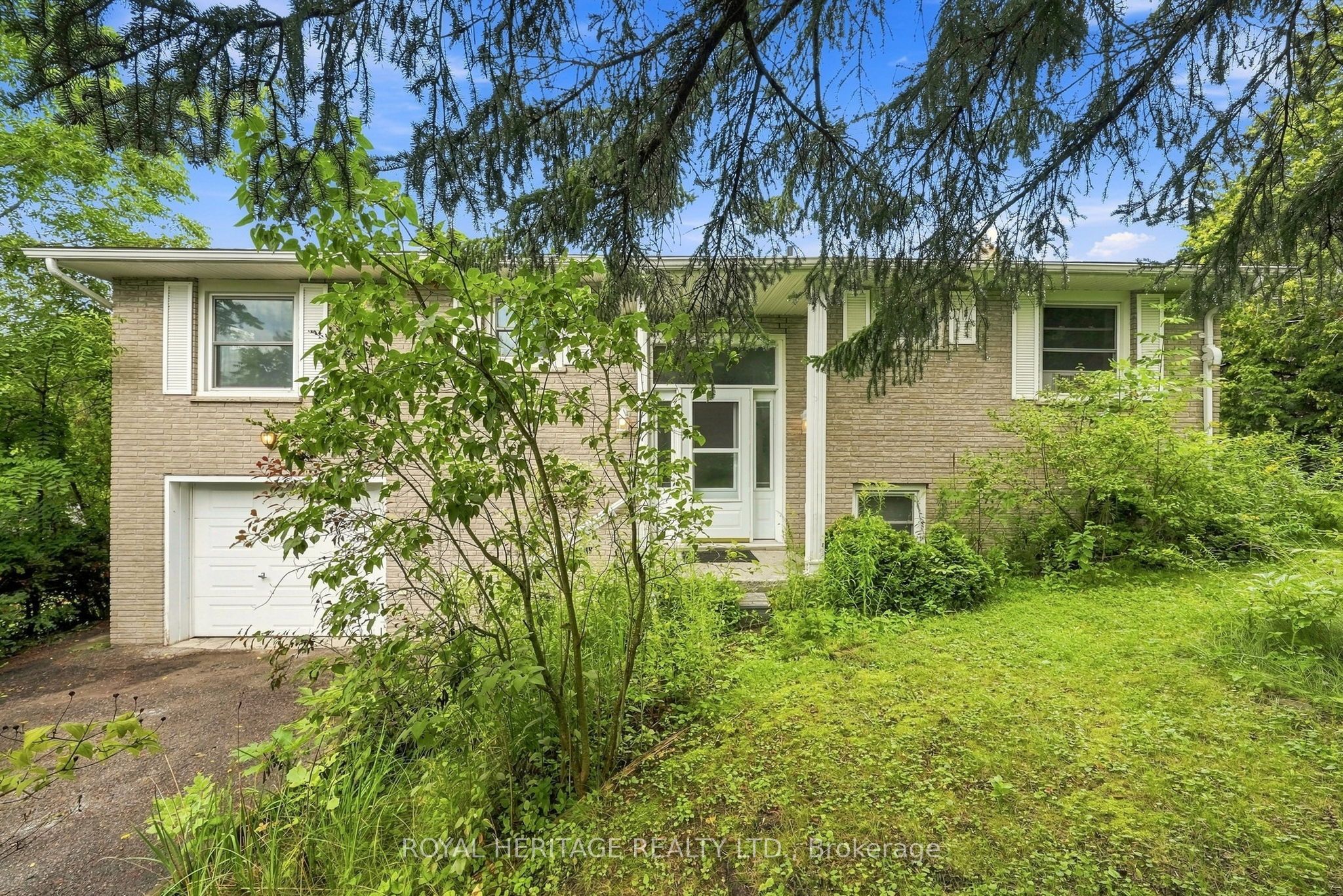 19a Park Street E Property Photo 1
