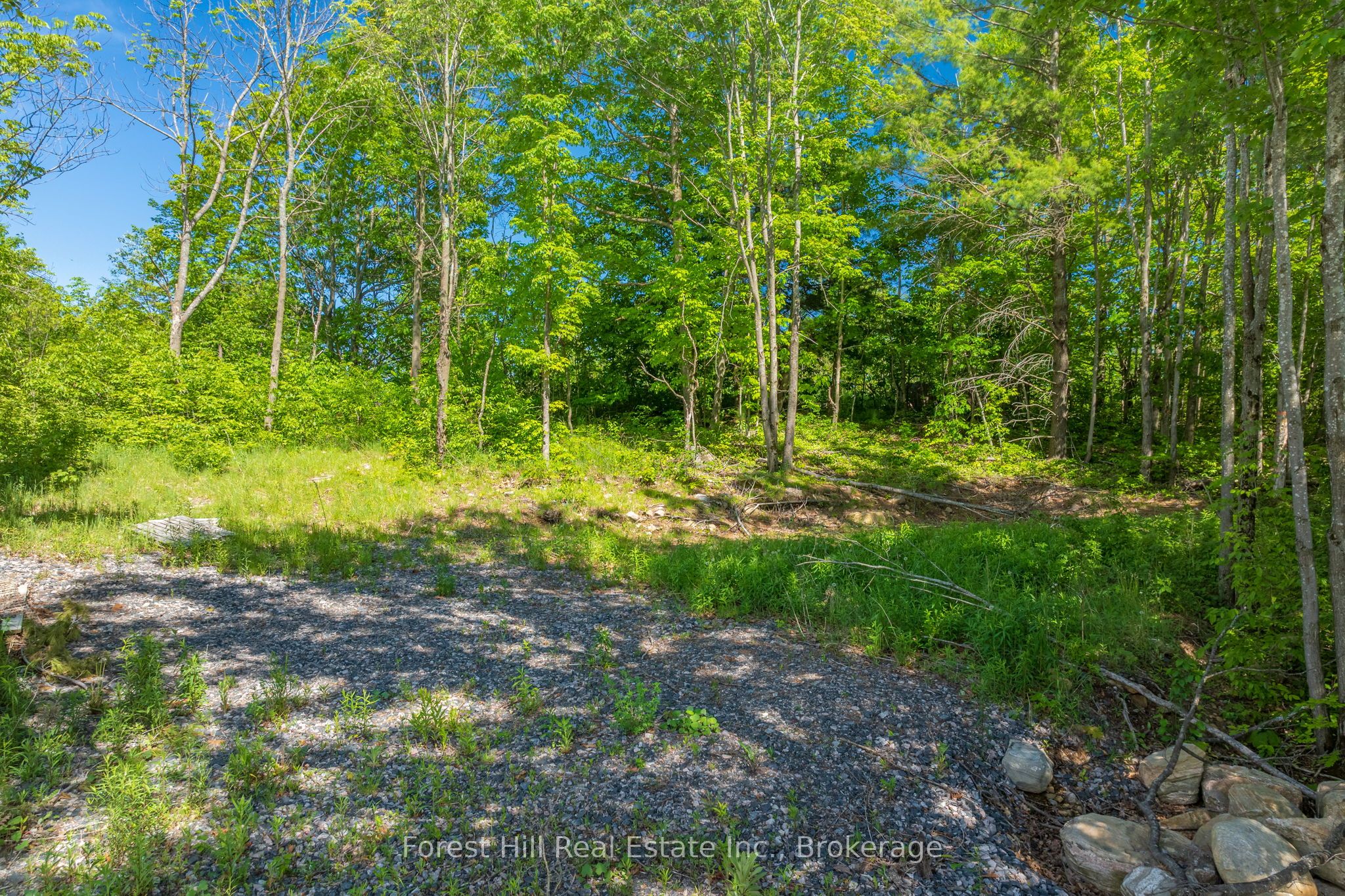 18 Hawkins Point Road Property Photo 6