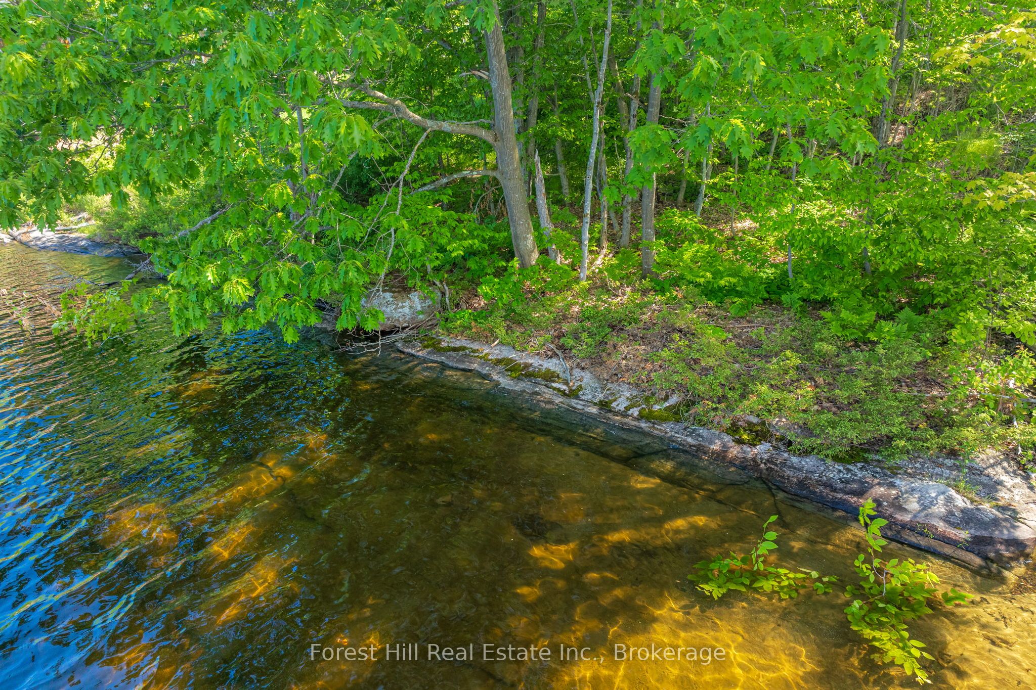 18 Hawkins Point Road Property Photo 17
