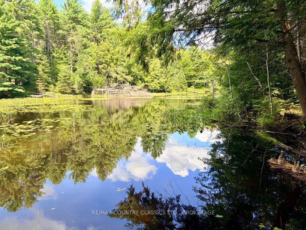 1068c Jacques Bay Road Property Photo 32