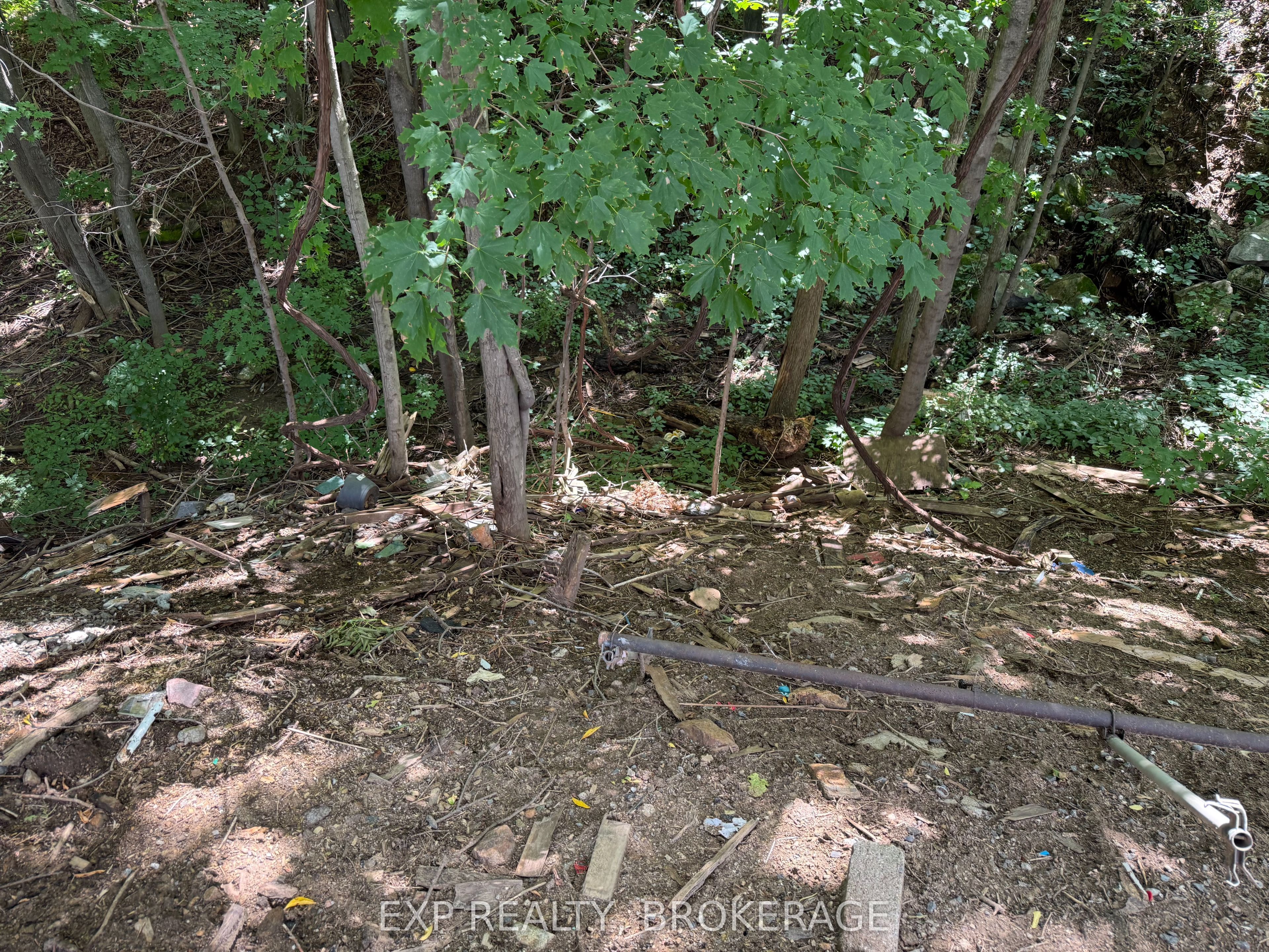 14544 Road 38 Road Property Photo 24
