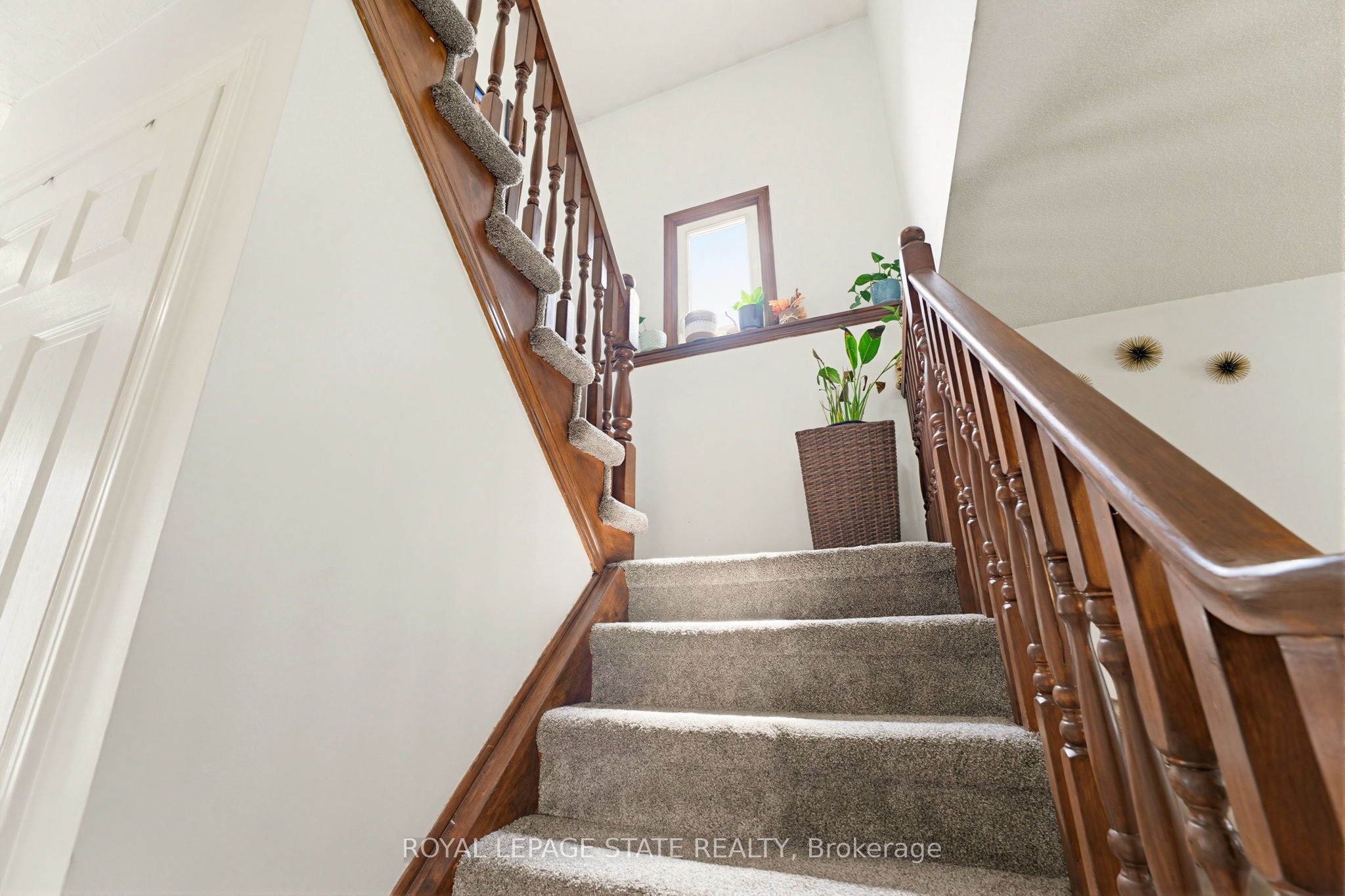 459 Dicenzo Drive Property Photo 22