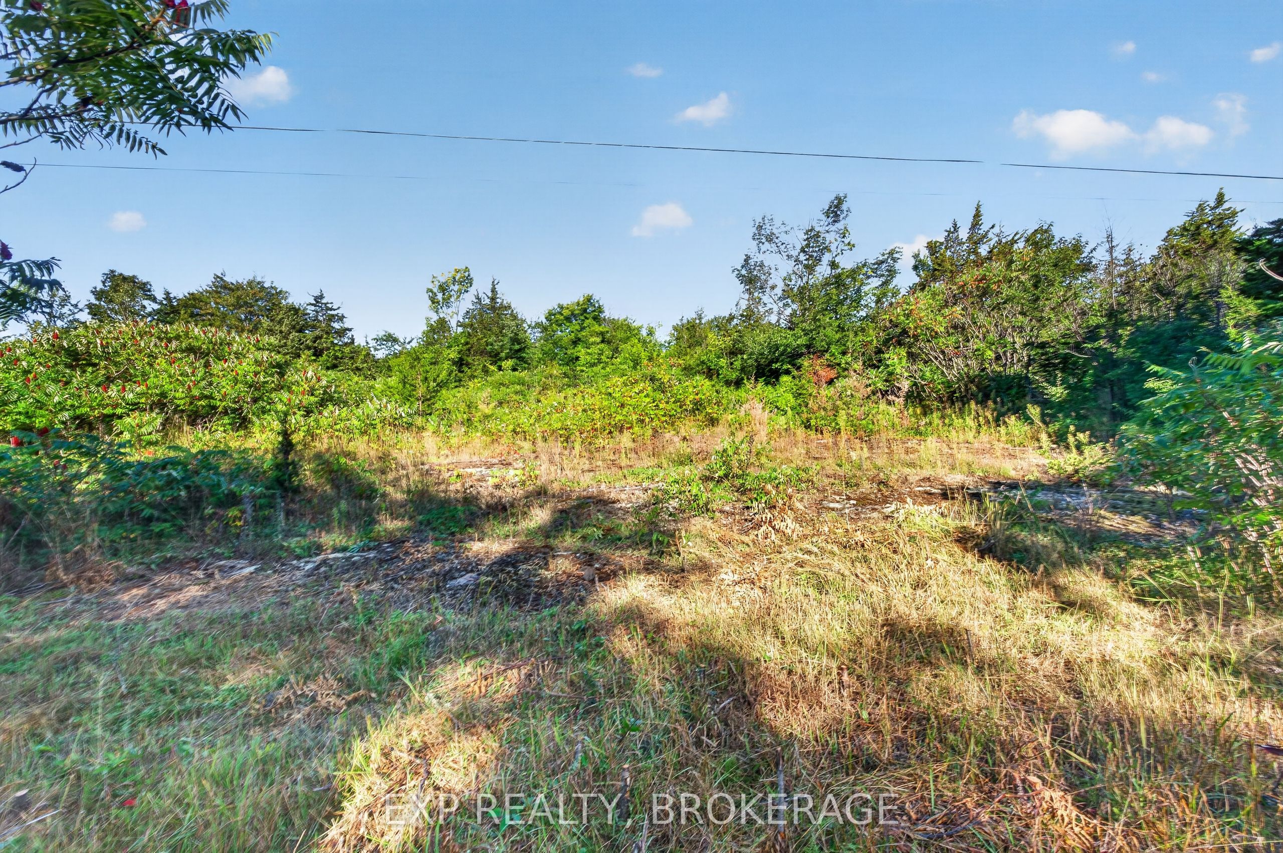 PT LT 23 CON 7 PEBBLE Lane S Property Photo 1