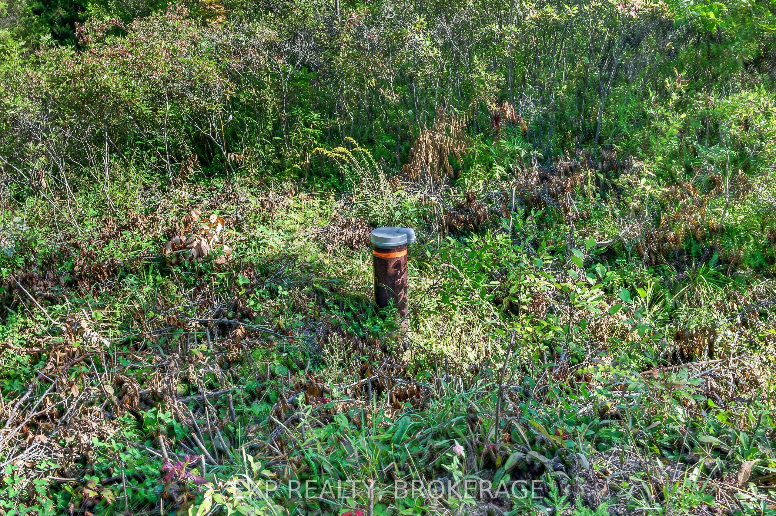 Pt Lt 23 Con 7 Pebble Lane S Property Photo 6
