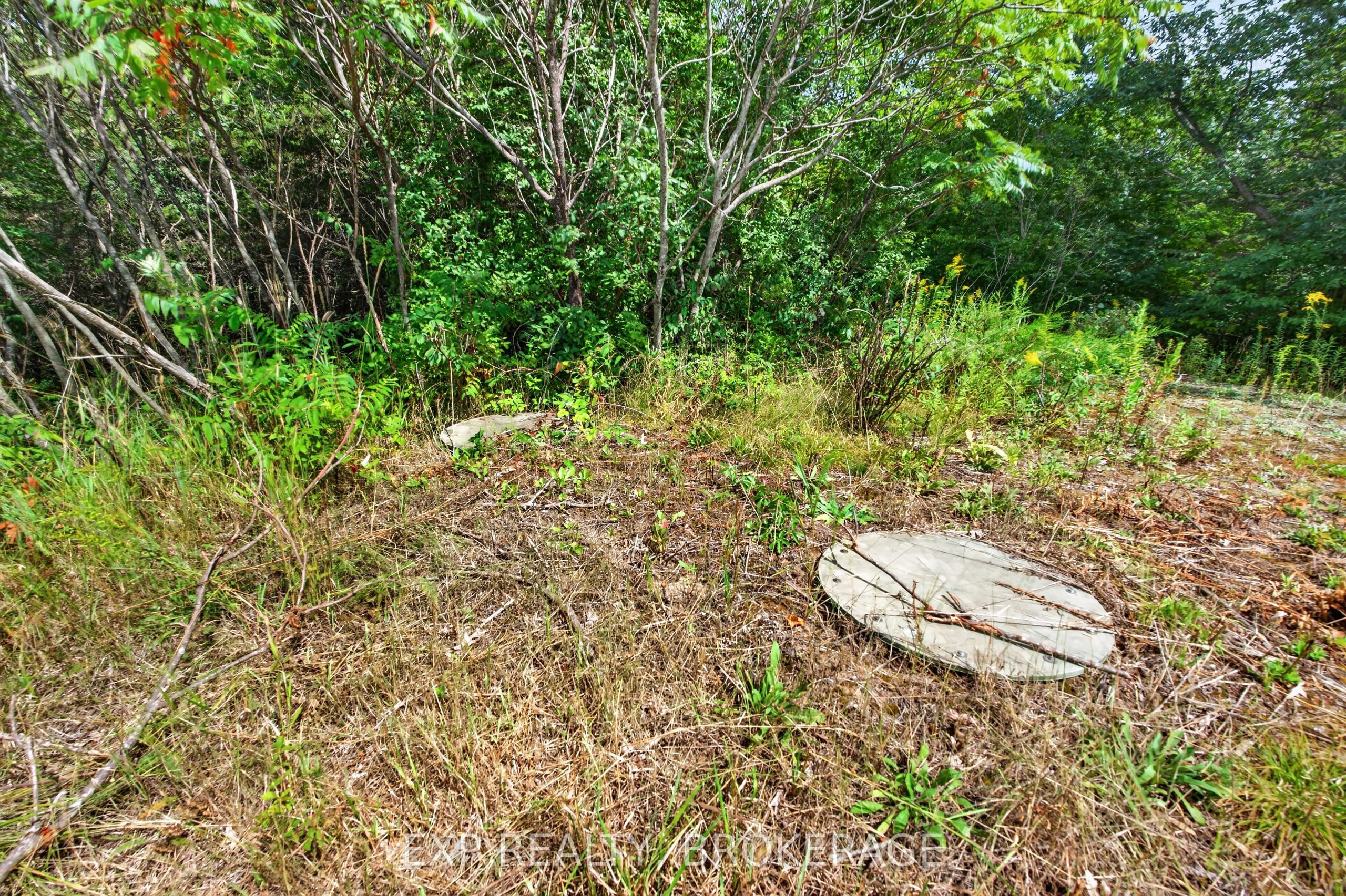 Pt Lt 23 Con 7 Pebble Lane S Property Photo 7