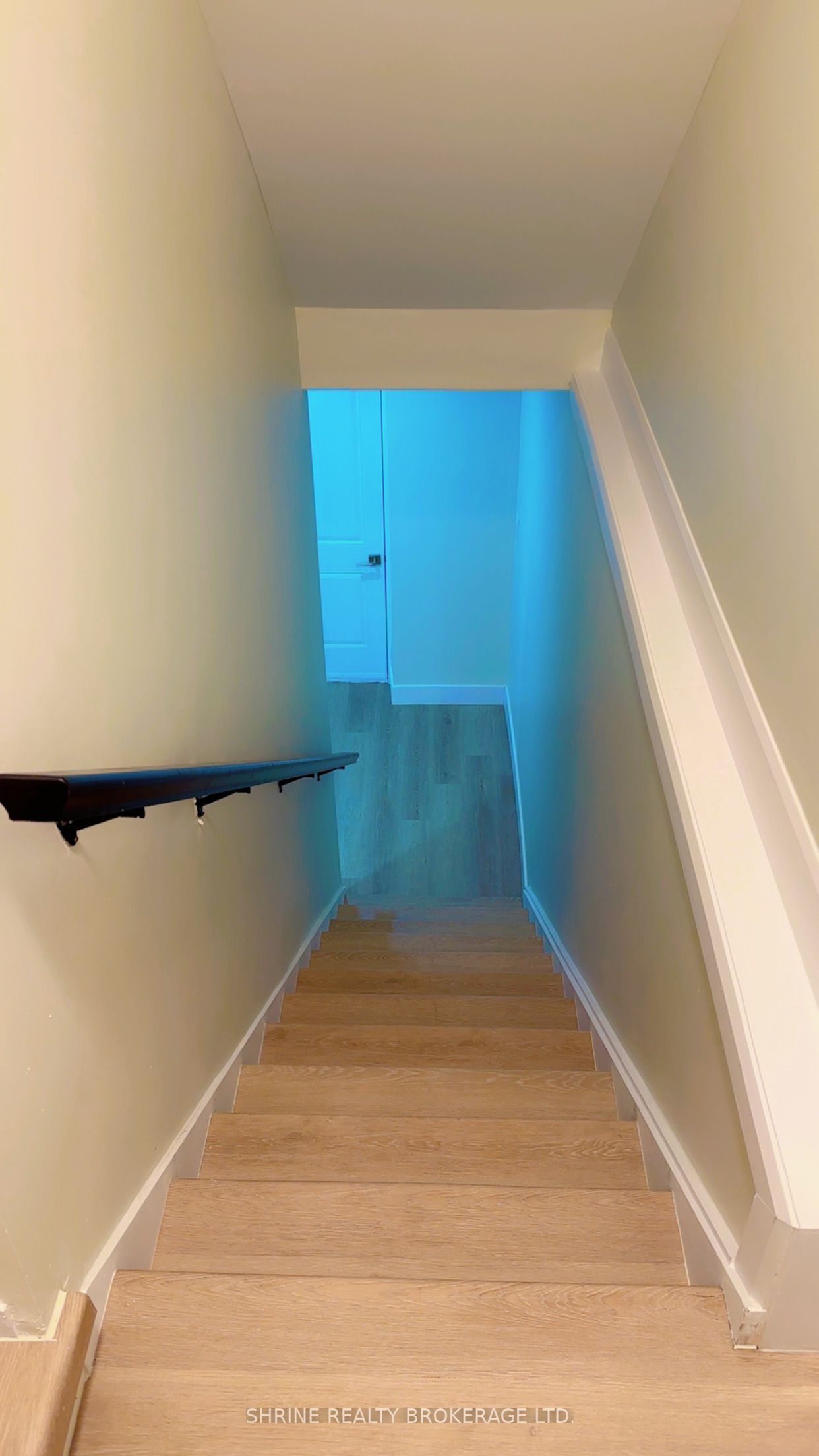 3843 Petalpath Way Basement Property Photo 2