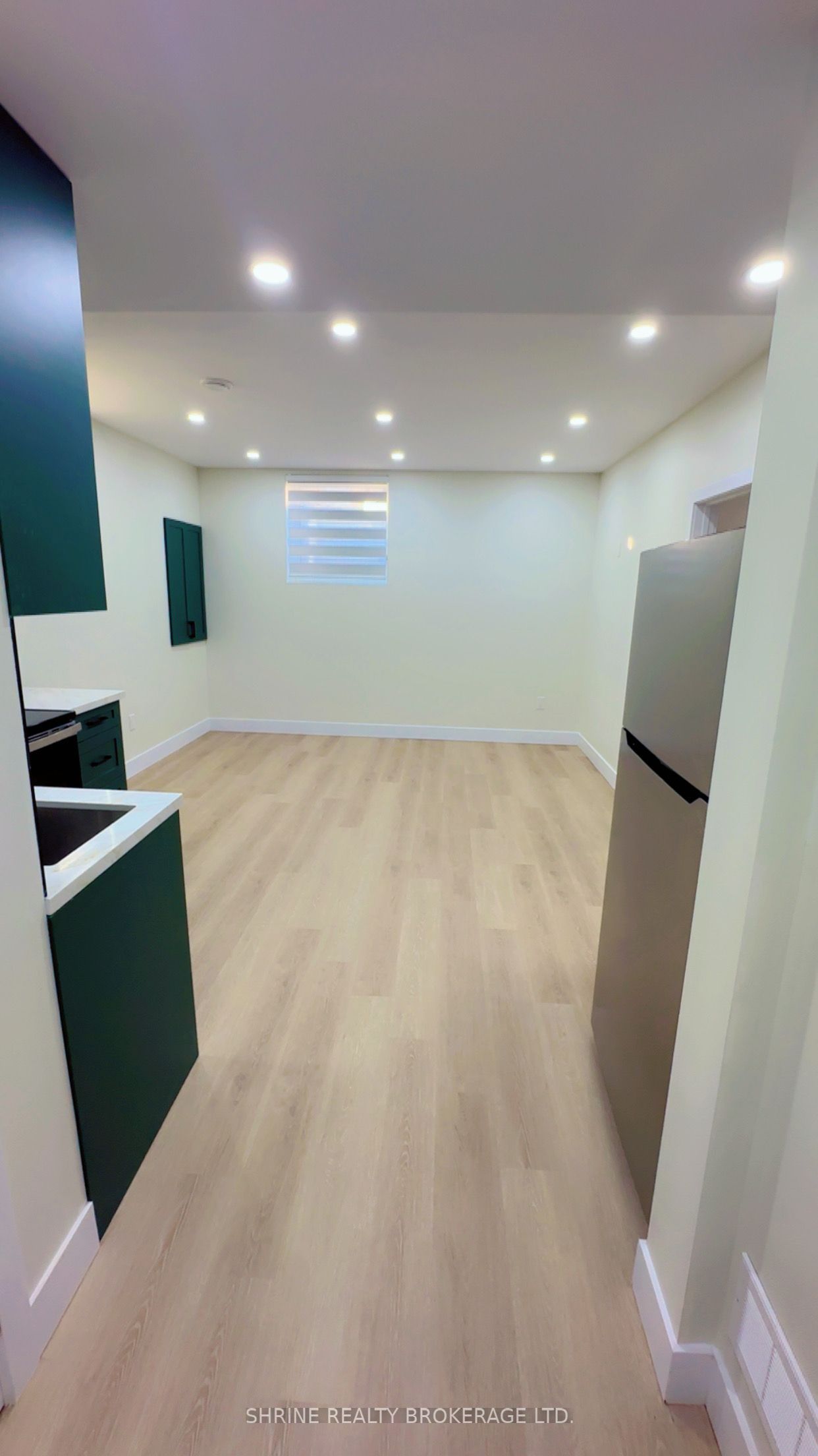 3843 Petalpath Way Basement Property Photo 6