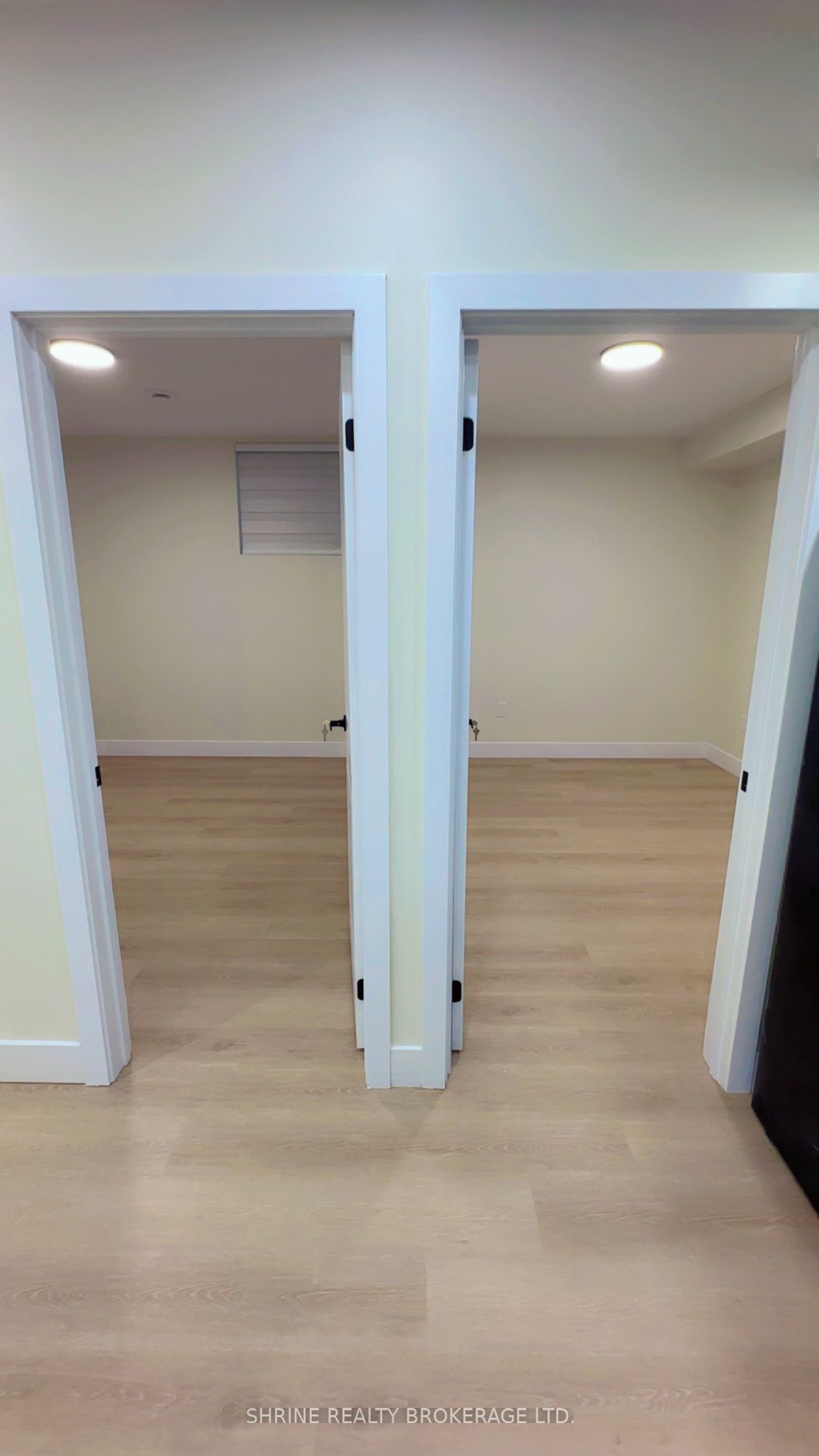 3843 Petalpath Way Basement Property Photo 8
