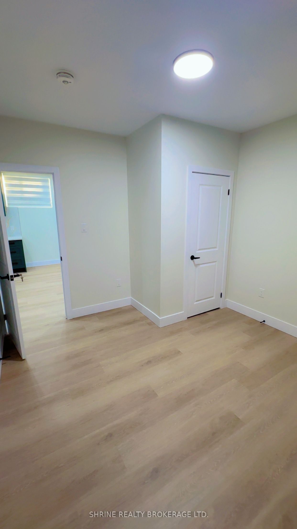 3843 Petalpath Way Basement Property Photo 9