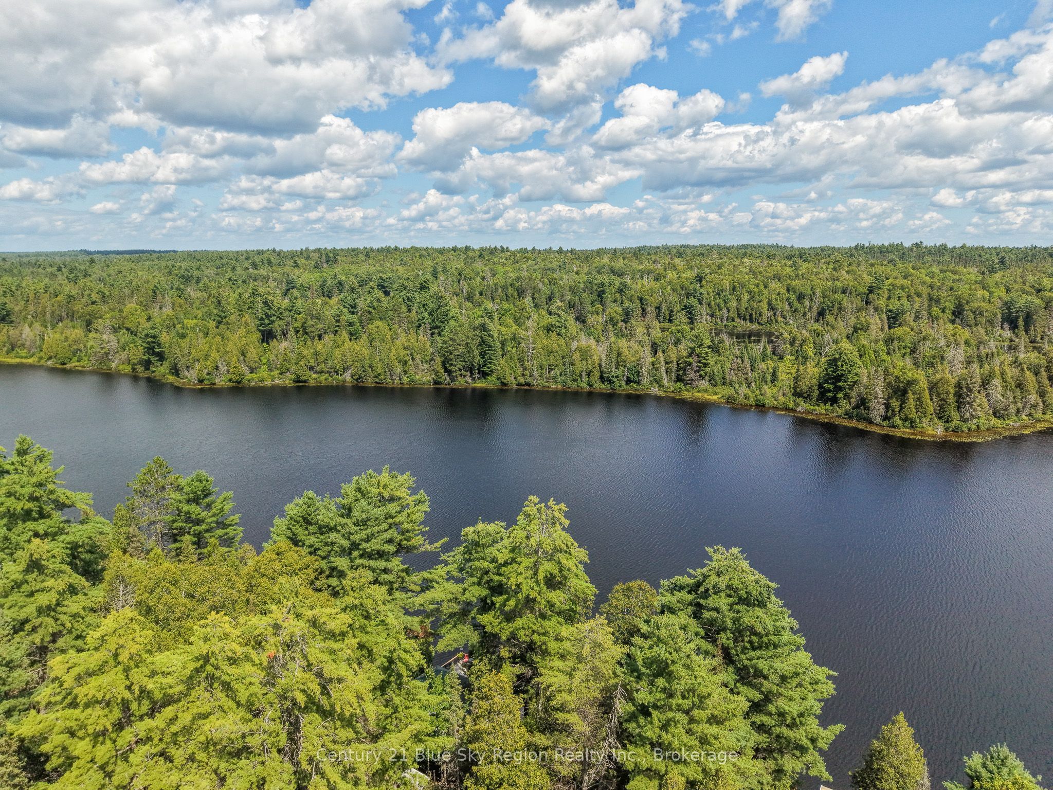 153 White Pine Road Property Photo 43