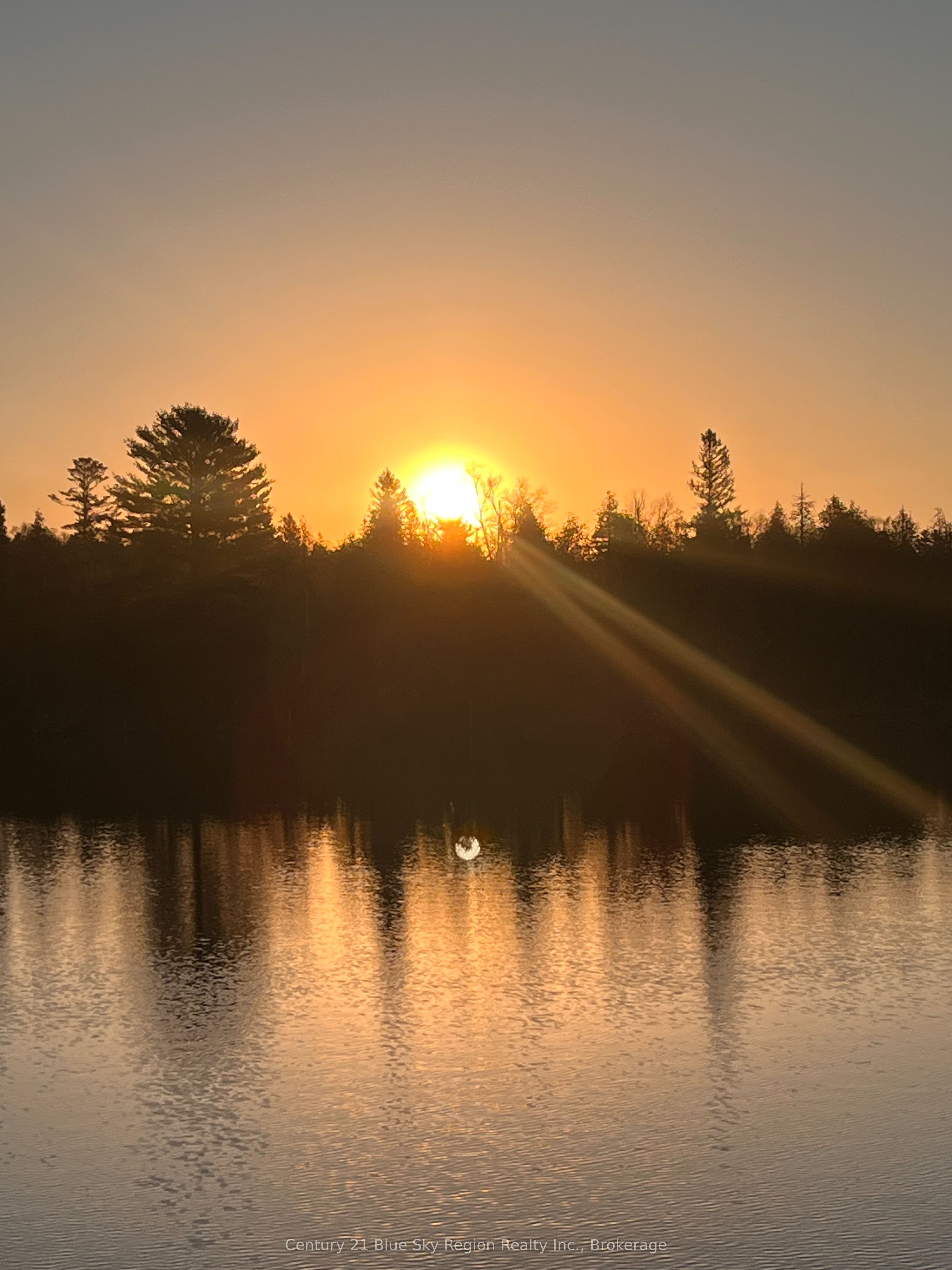 153 White Pine Road Property Photo 46