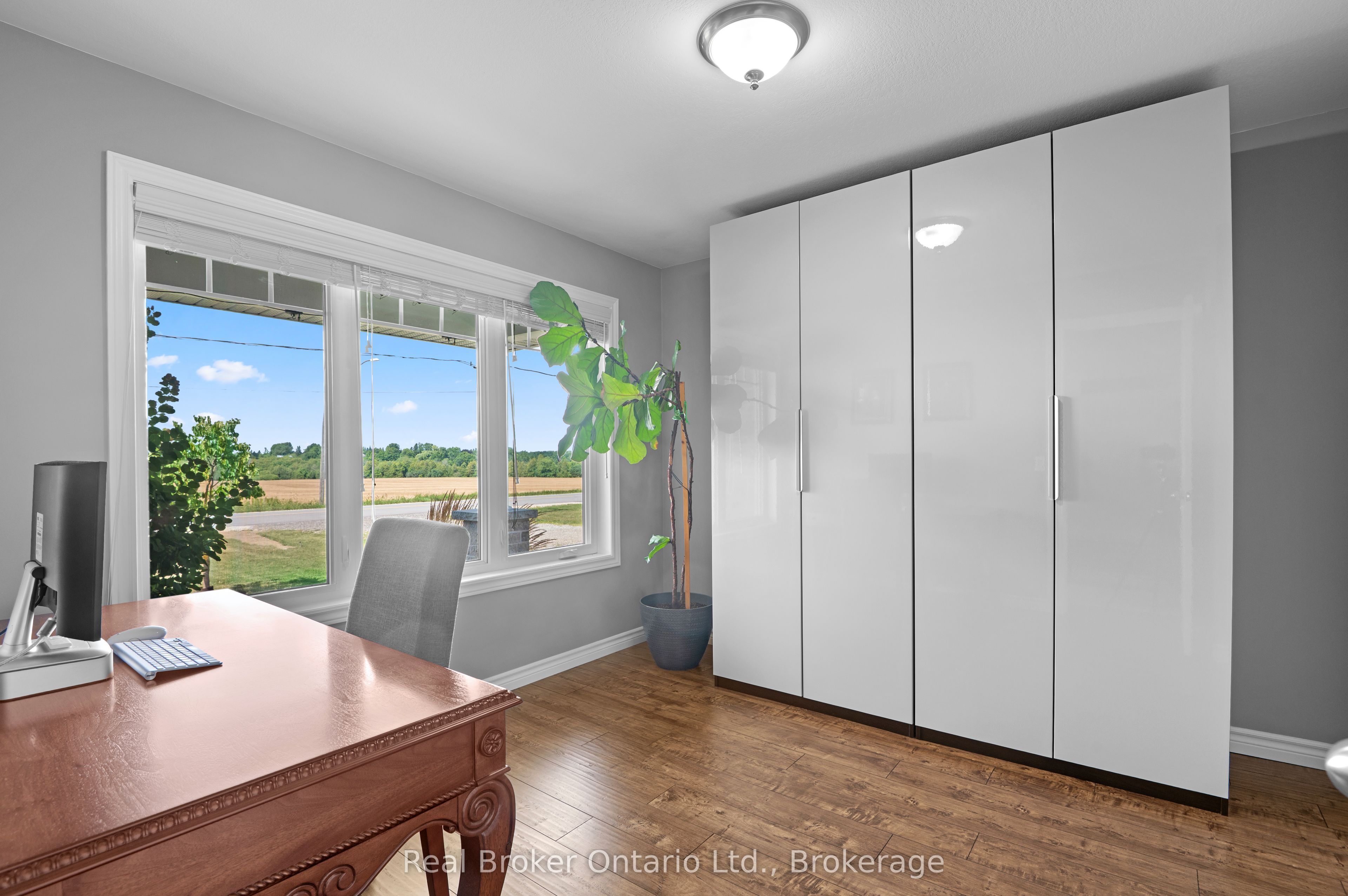 157 Clyde Street Property Photo 11