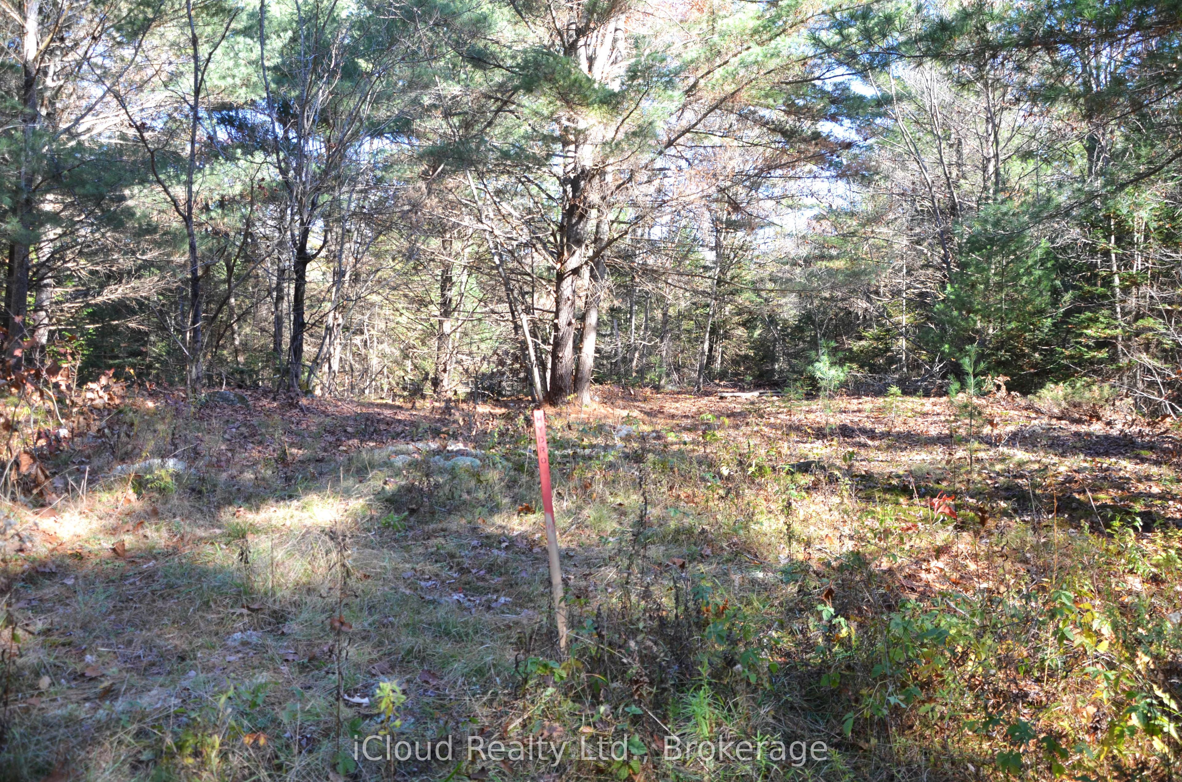 3 Parker Bay Road Property Photo 3