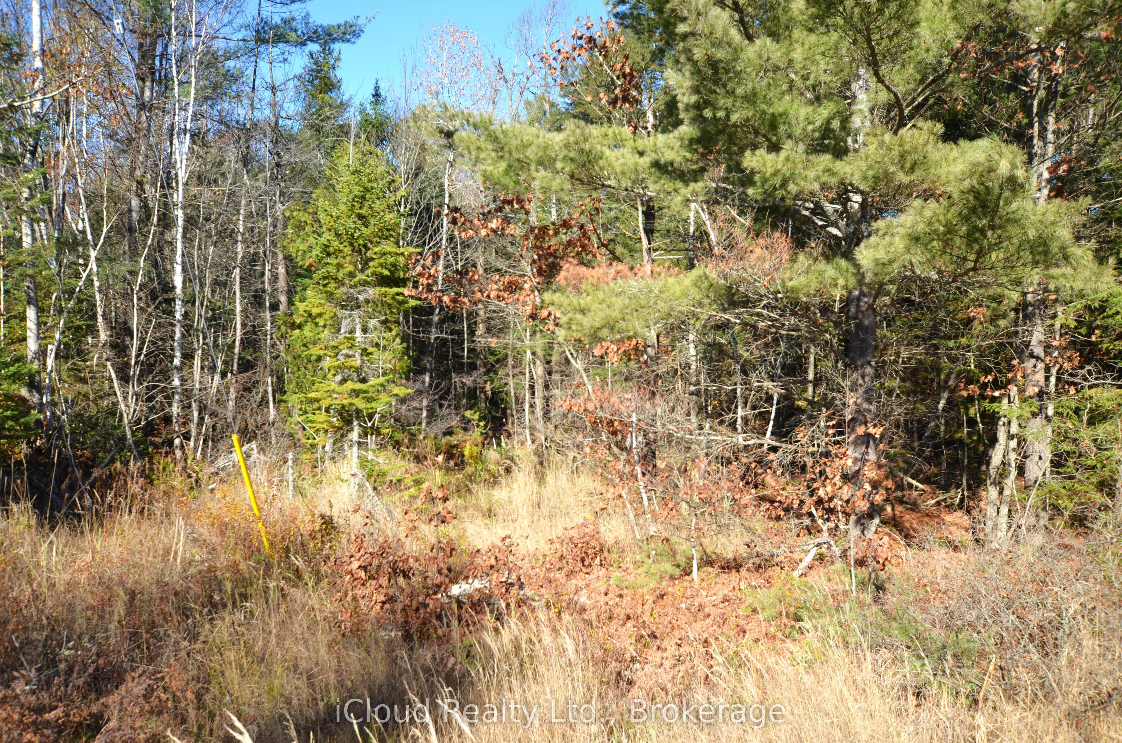 3 Parker Bay Road Property Photo 16