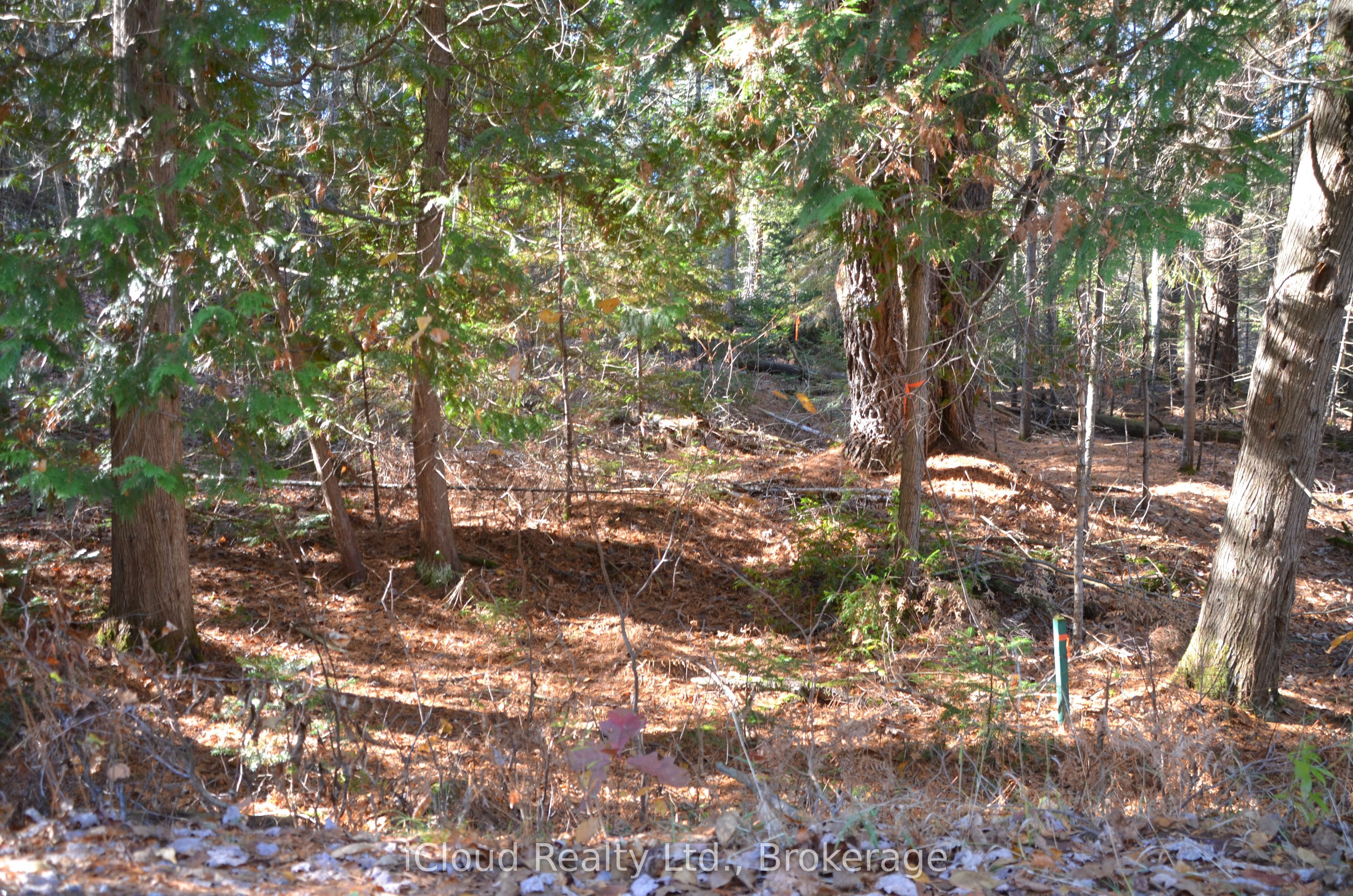2 Parker Bay Road Property Photo 13