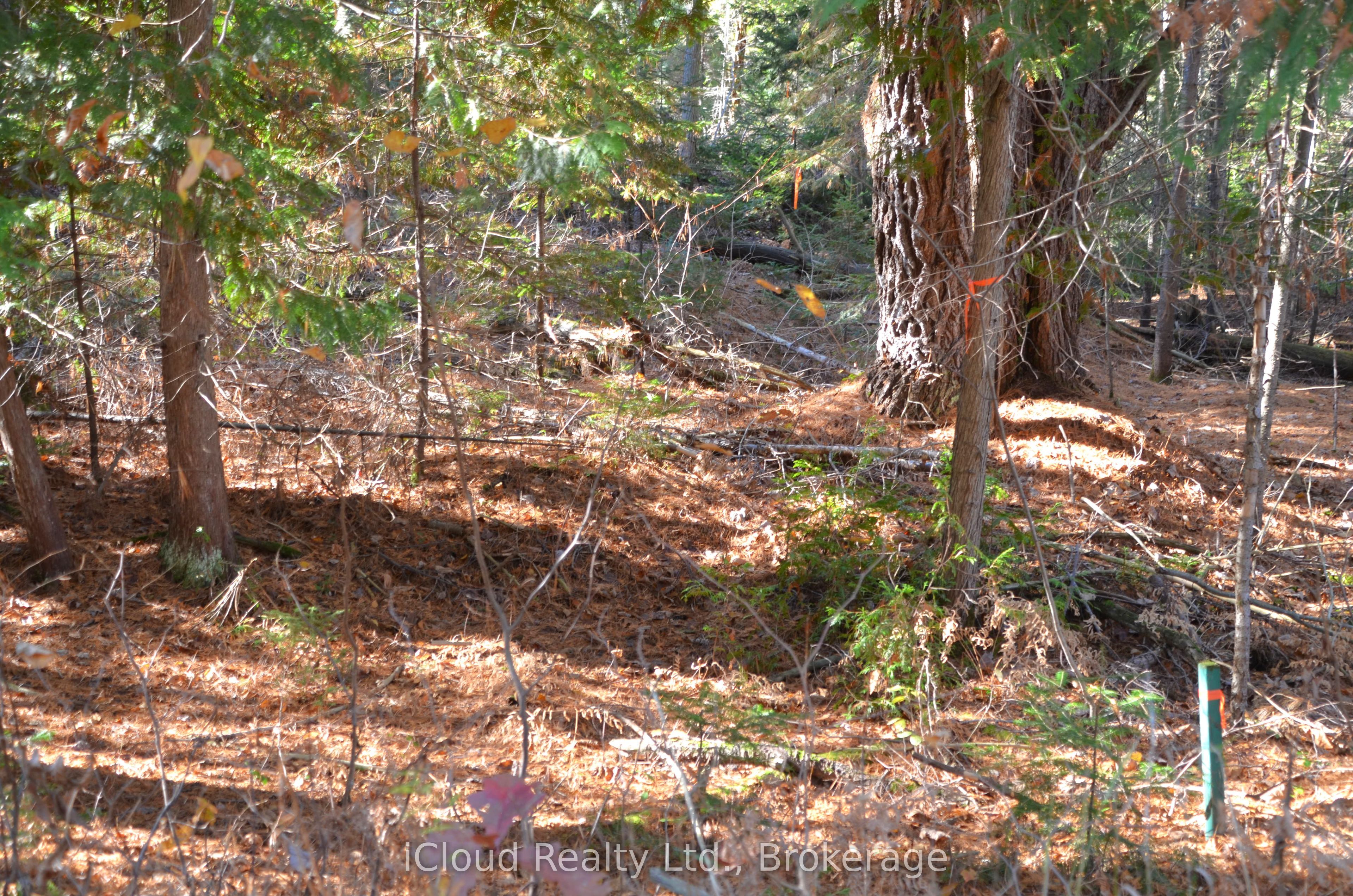 2 Parker Bay Road Property Photo 14