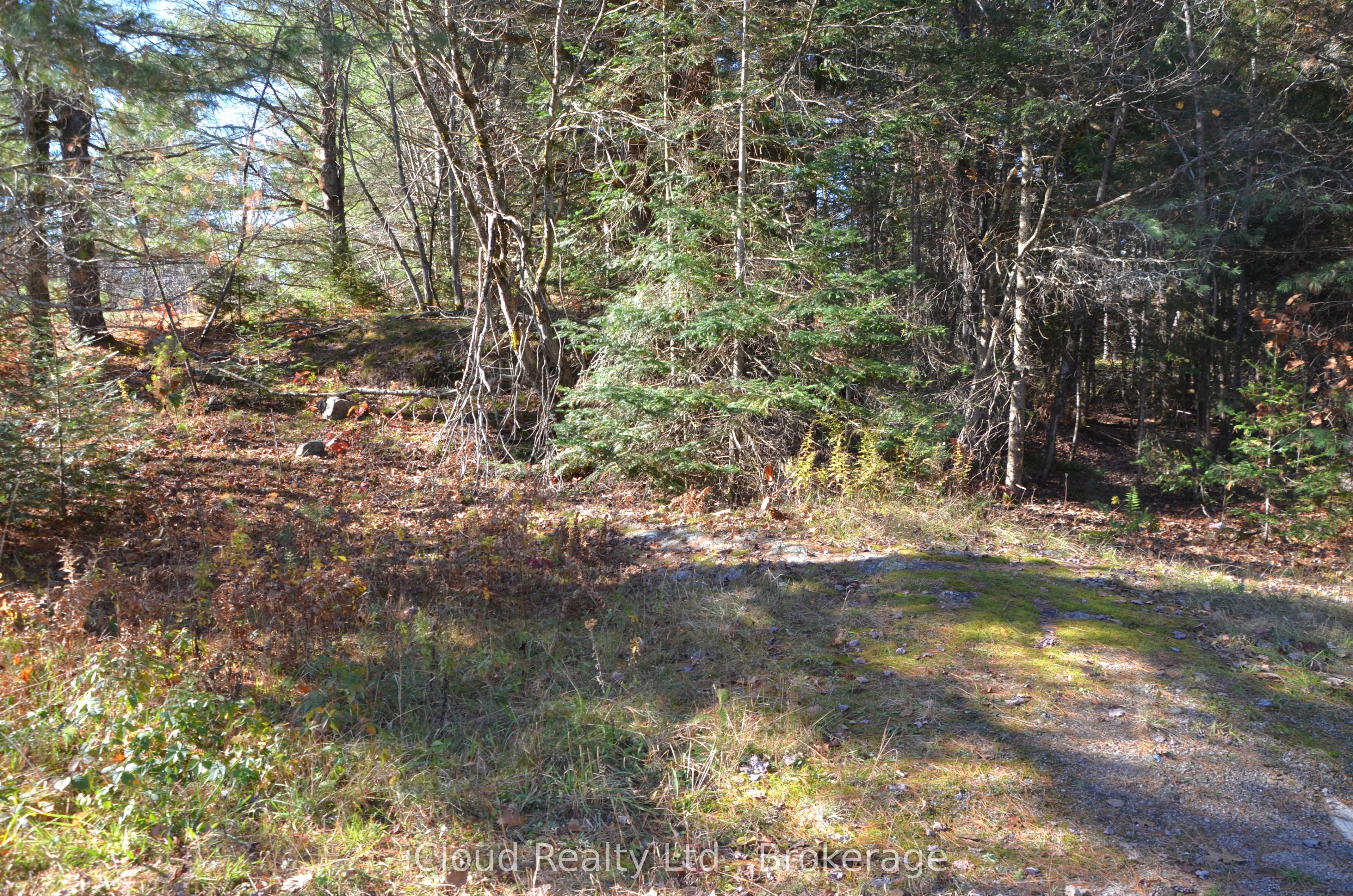 2 Parker Bay Road Property Photo 15