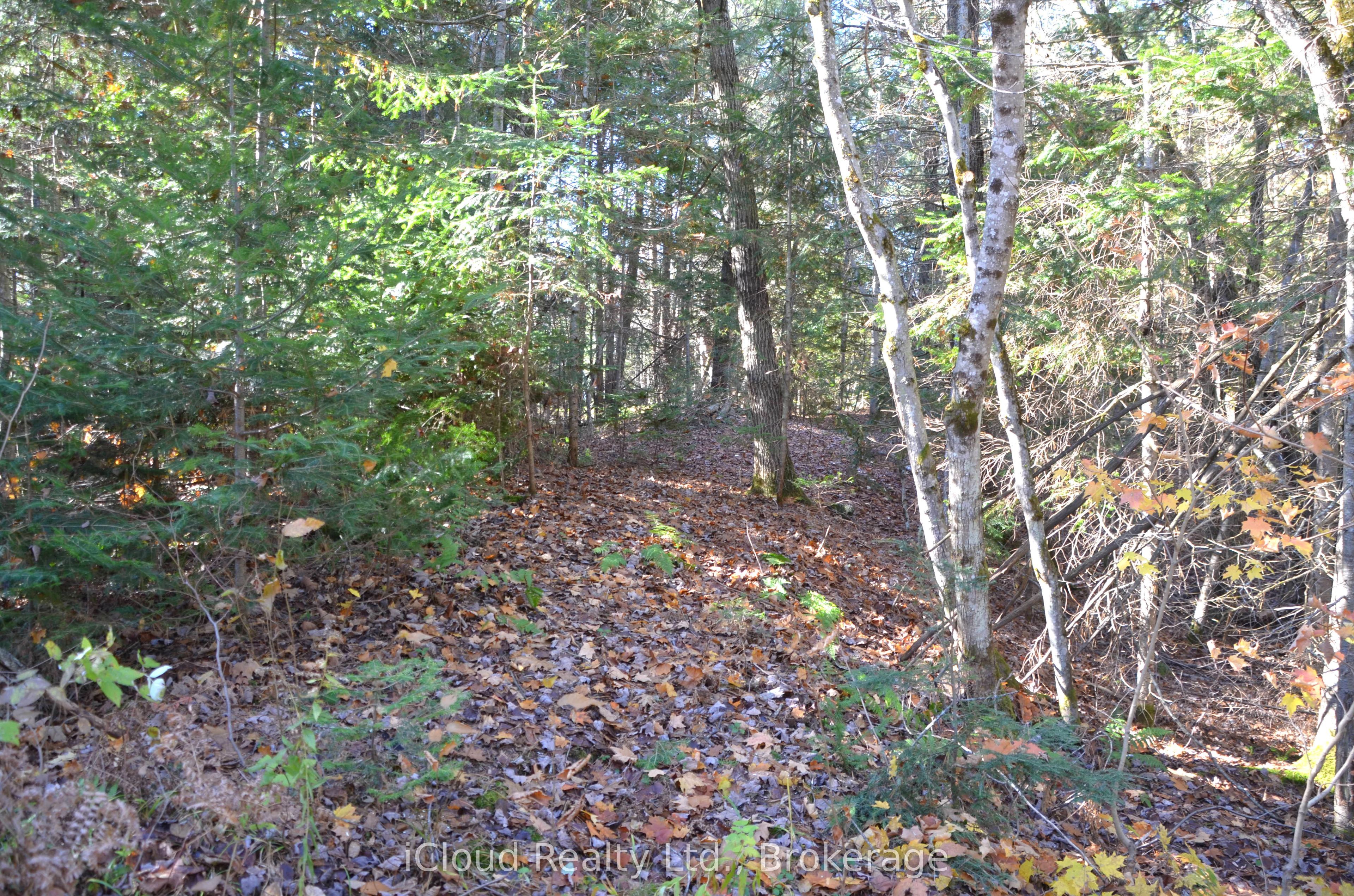 2 And 3 Parker Bay Road Property Photo 9