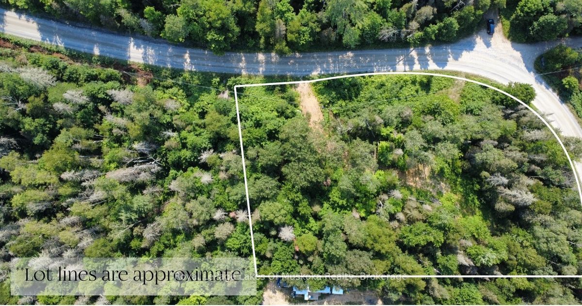 0 Forest Lake Road Property Photo 2