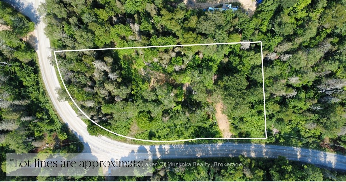 0 Forest Lake Road Property Photo 3