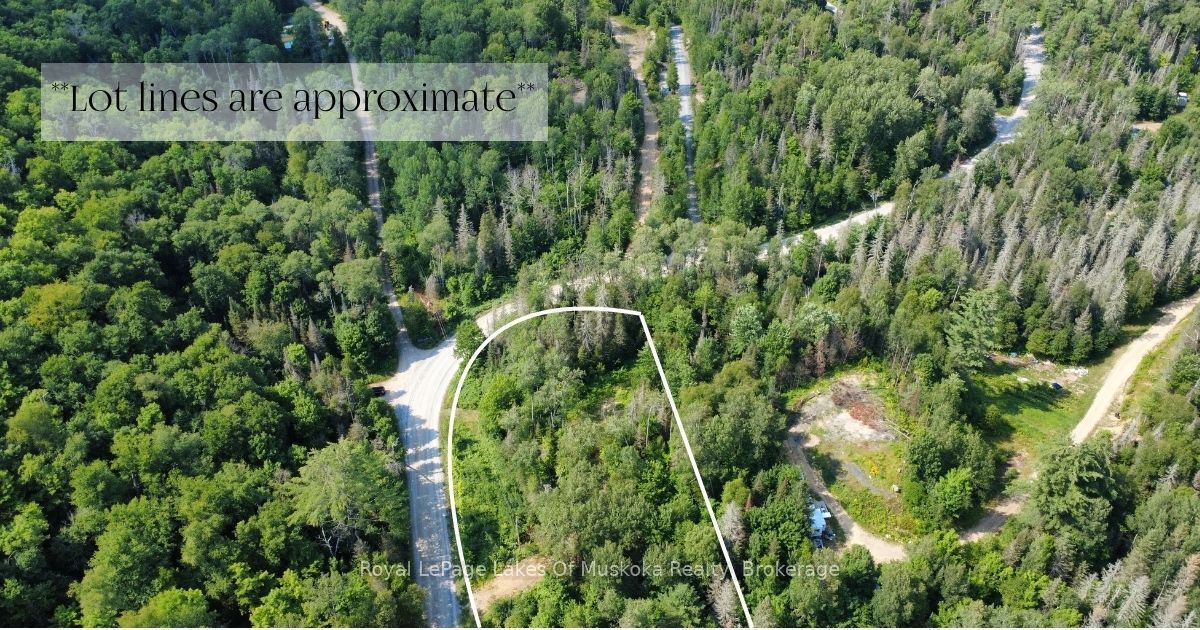 0 Forest Lake Road Property Photo 4