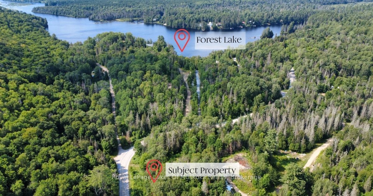 0 Forest Lake Road Property Photo 5