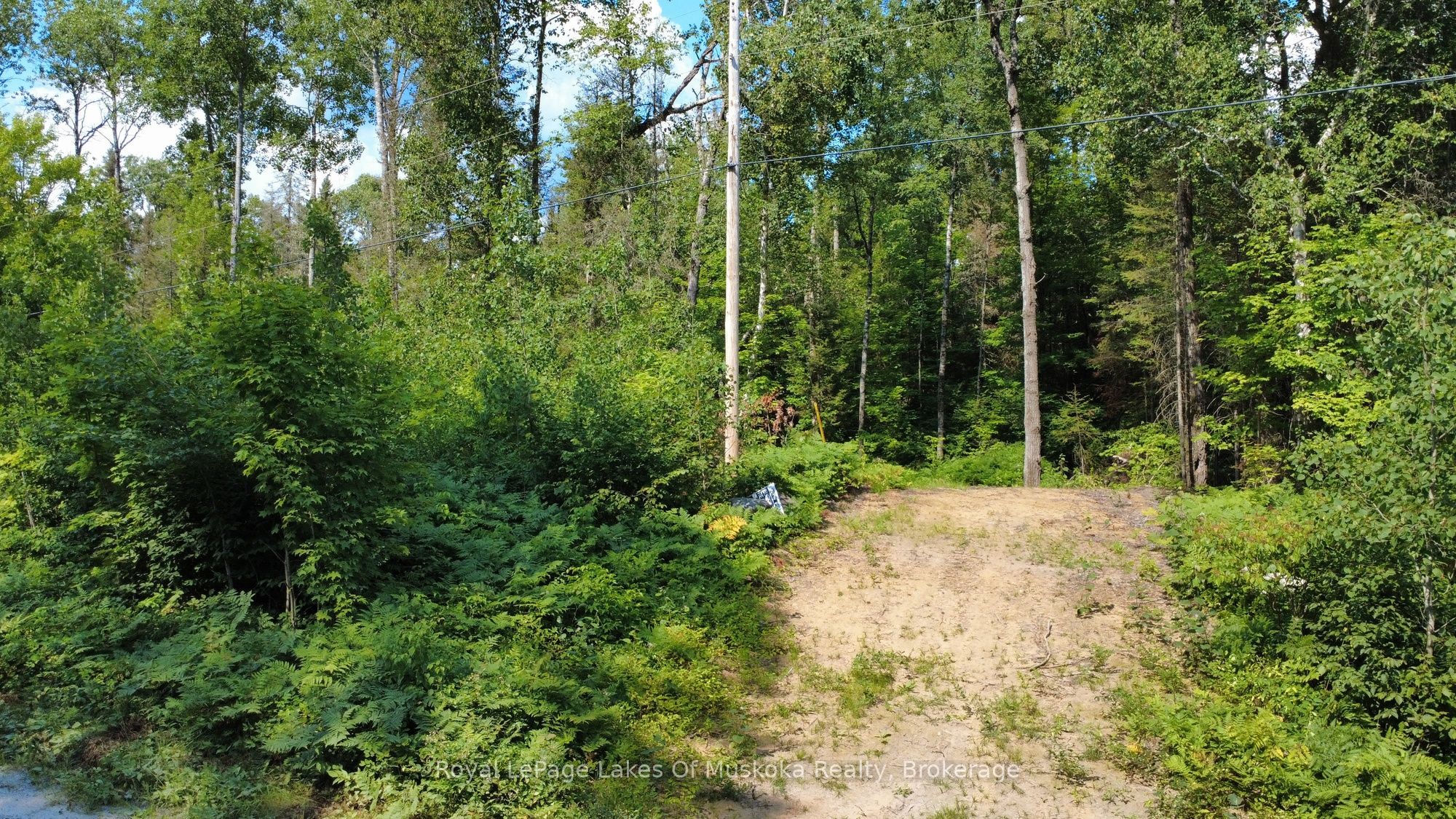 0 Forest Lake Road Property Photo 6
