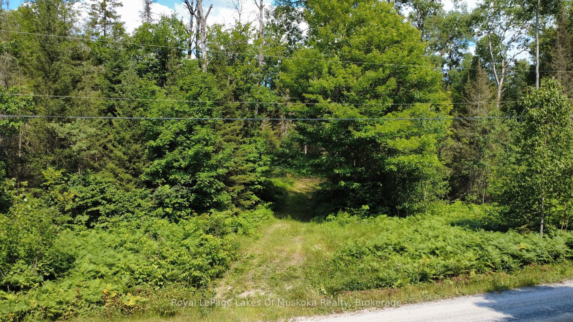 0 Forest Lake Road Property Photo 7