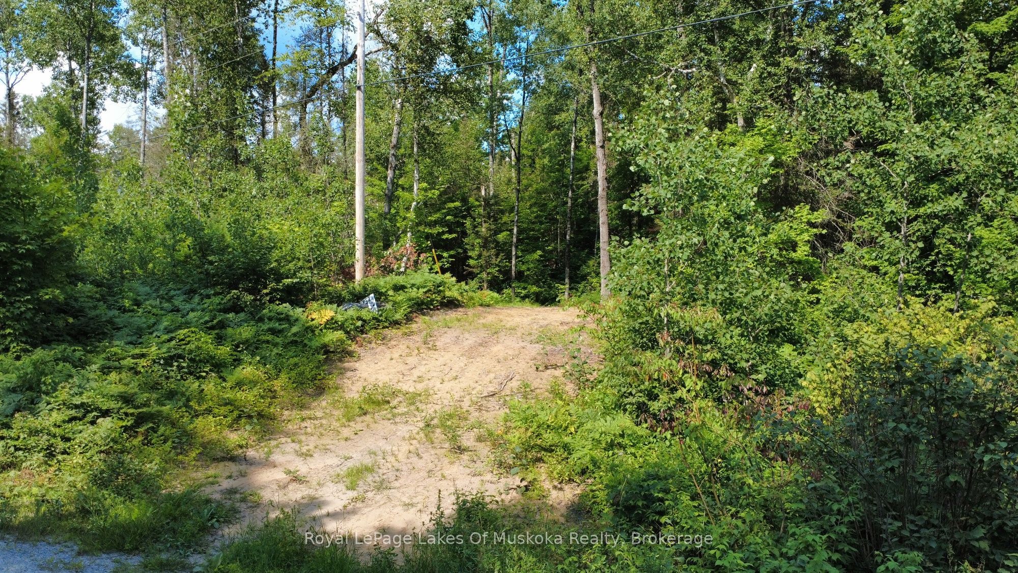 0 Forest Lake Road Property Photo 8