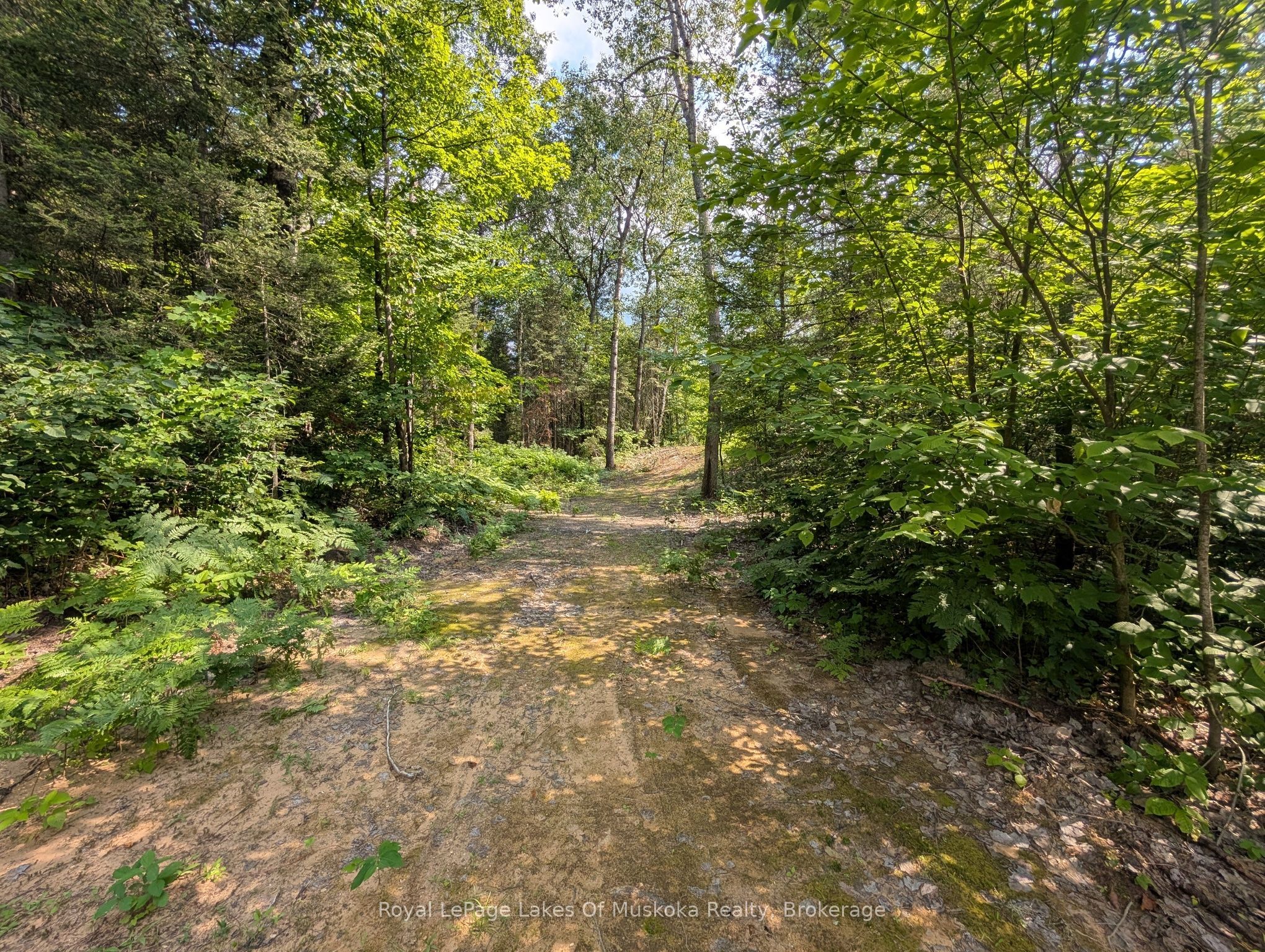 0 Forest Lake Road Property Photo 10