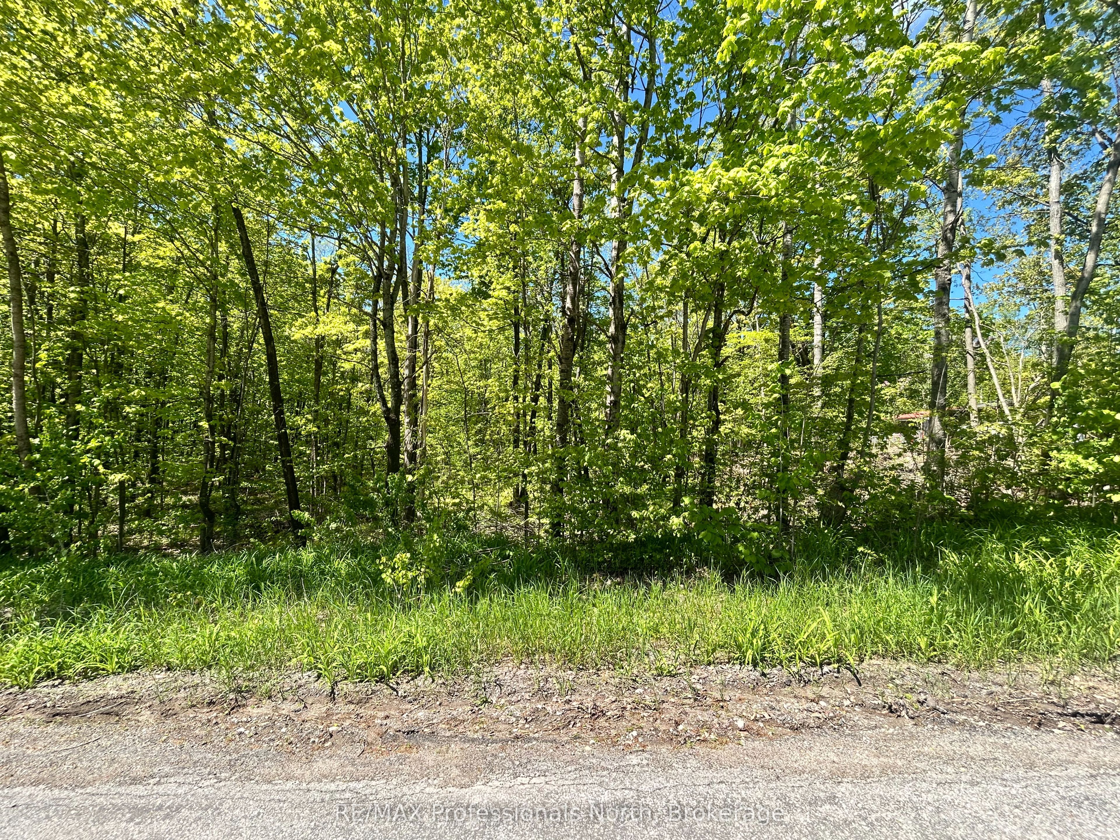 0 Trillium Lane Property Photo 1