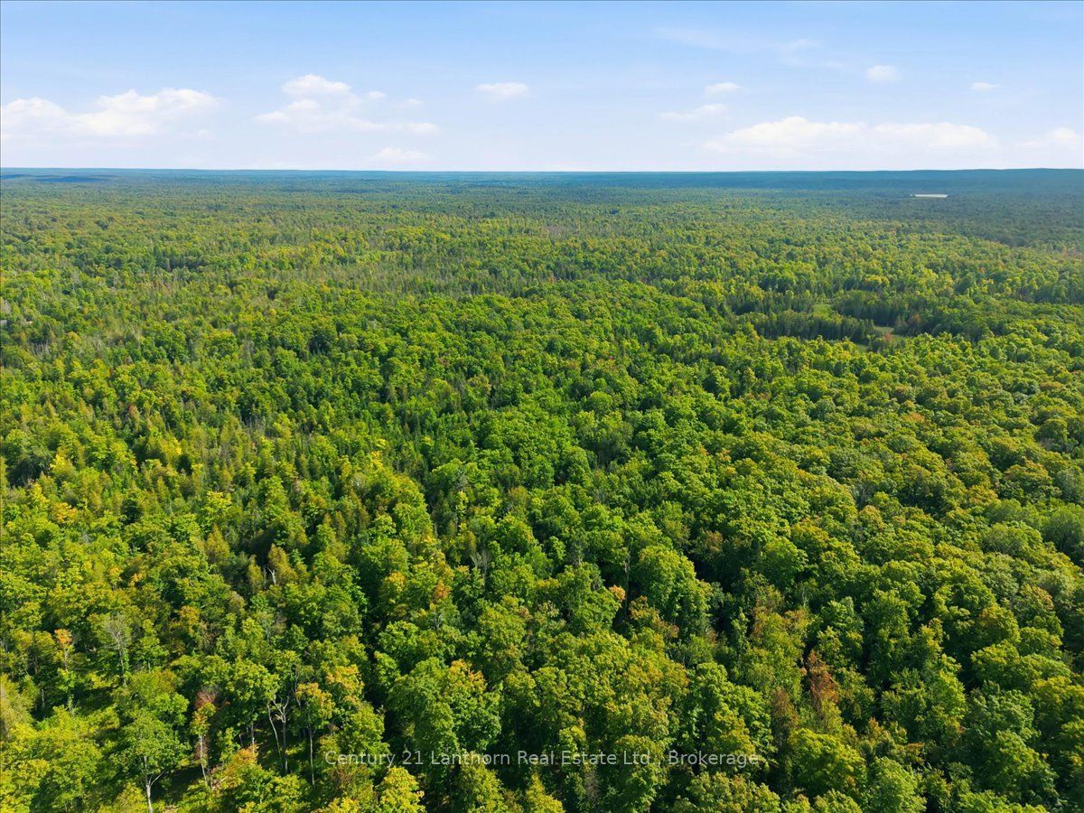 18448 Highway 62 Property Photo 46