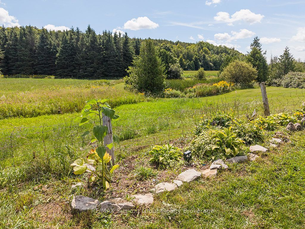 449686 10th Concession Road Property Photo 38